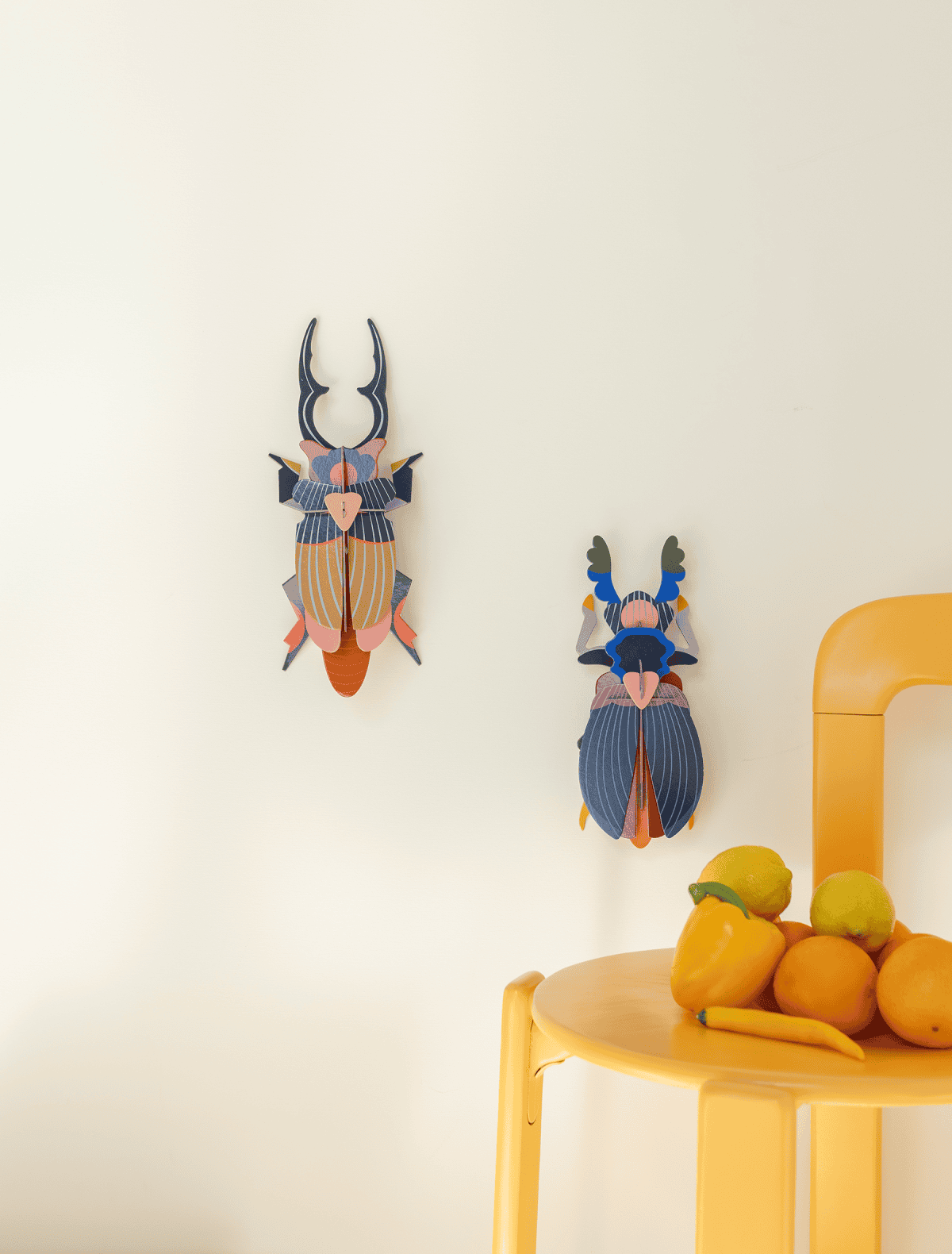 3D Wall Art | Giant Stag Beetle