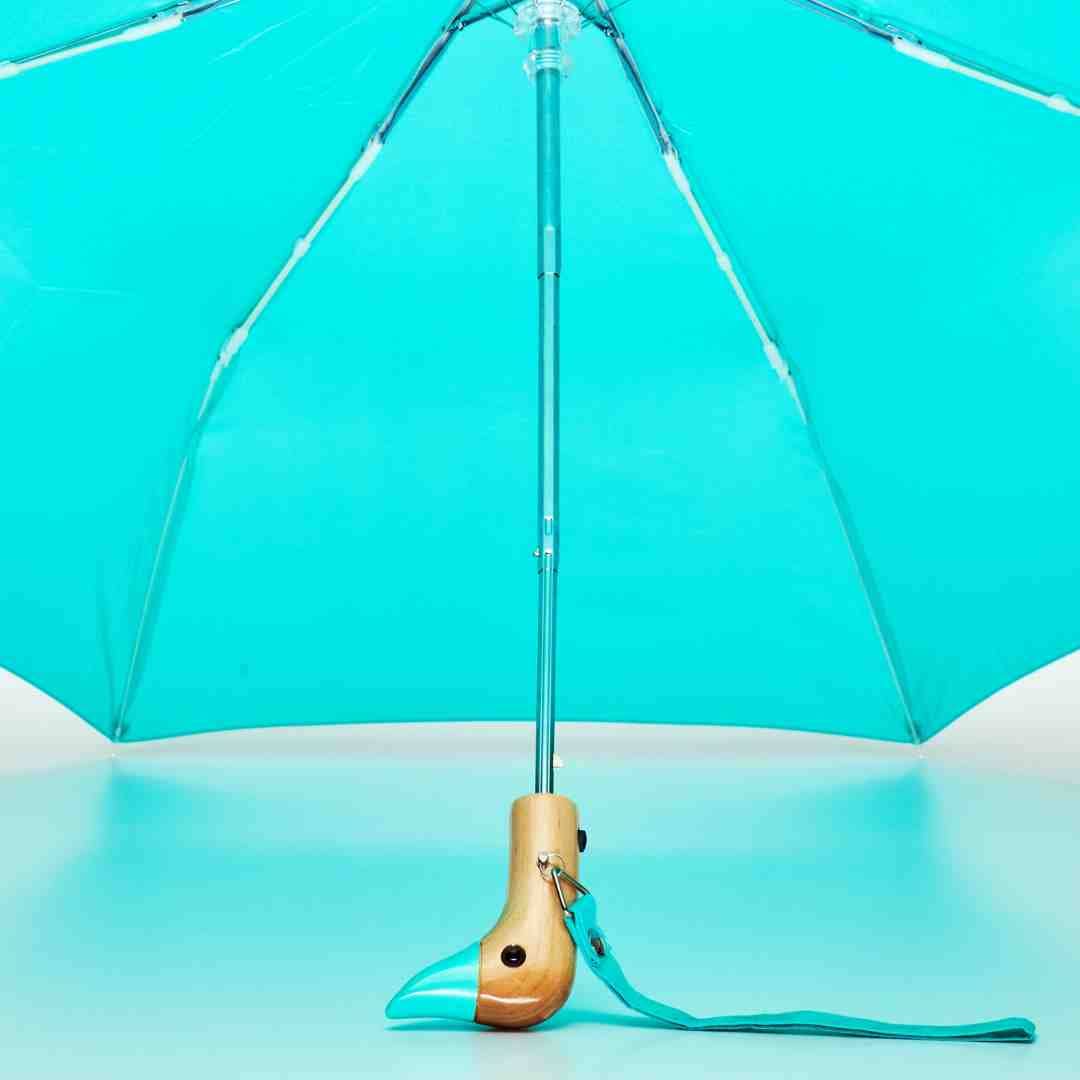 Duckhead Umbrella: Aqua