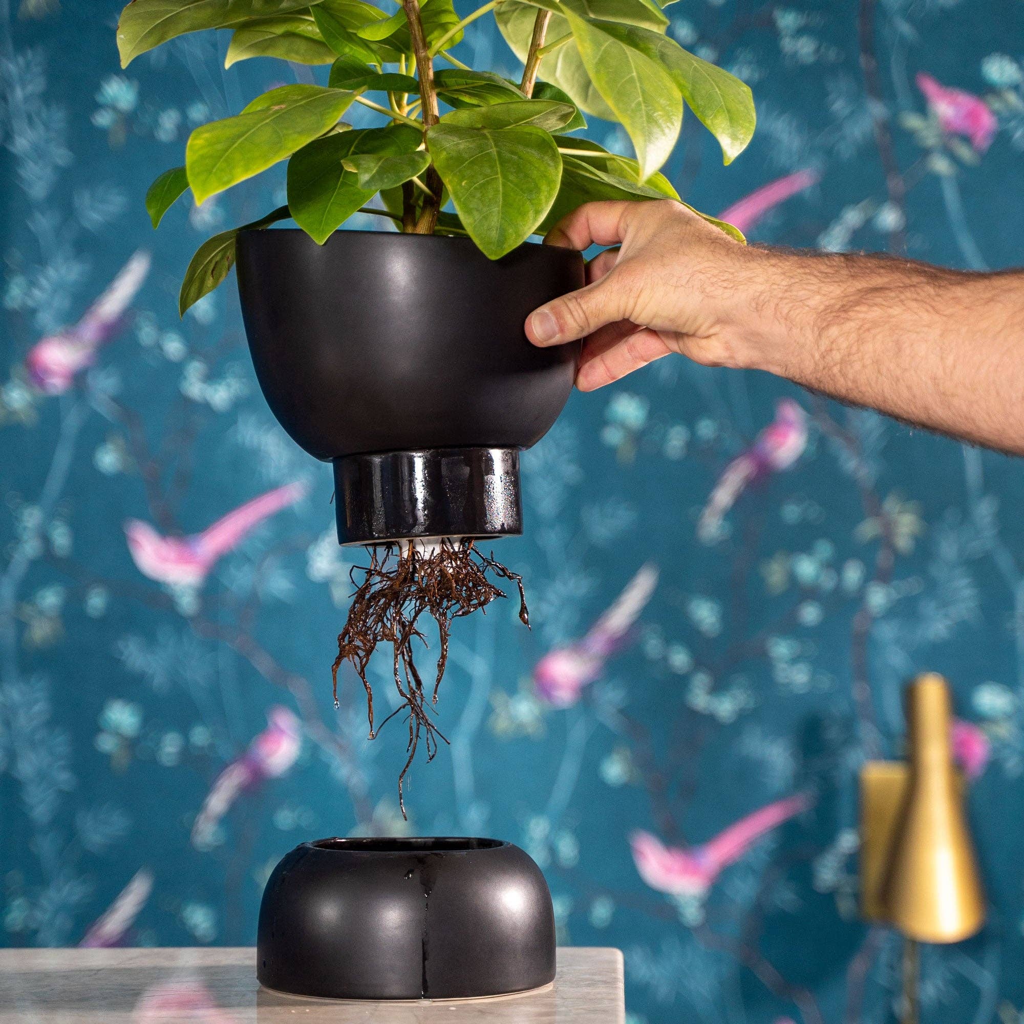 Varick Ceramic Self Watering Pot: White Dolomite