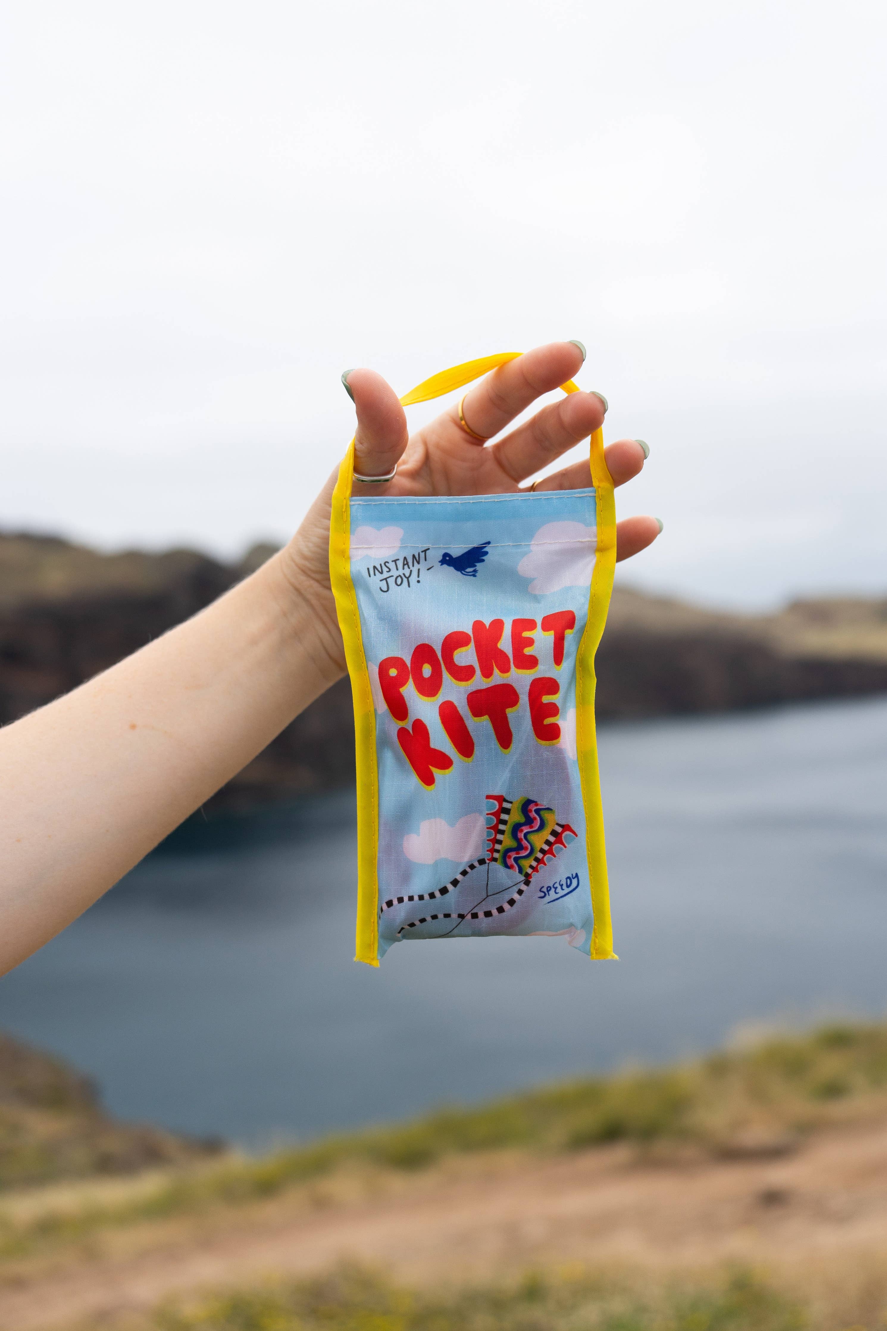 Pocket Kite