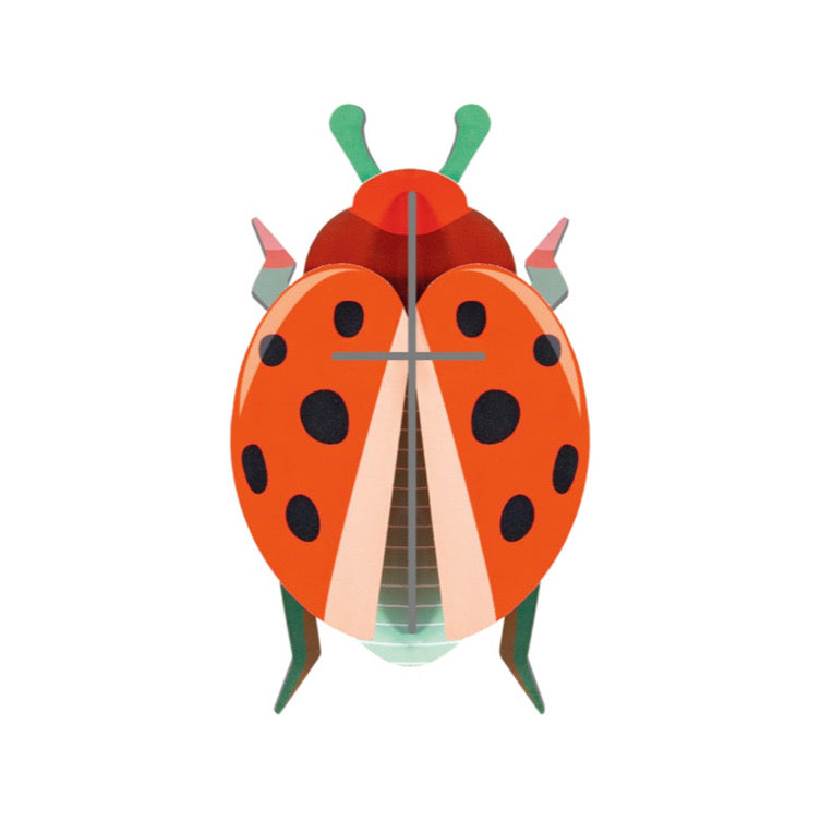 3D Wall Art | Coccinelle Rouge