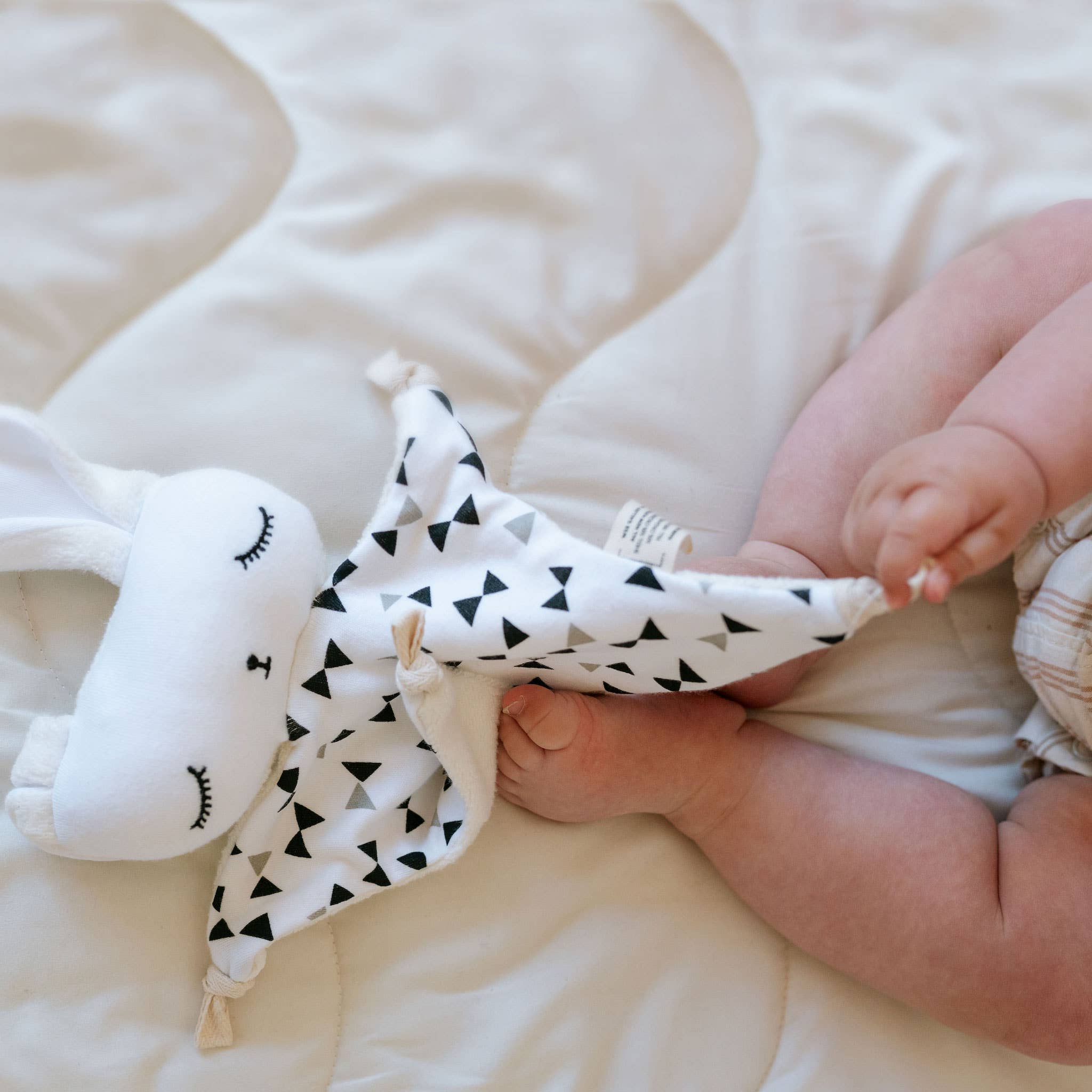 Cuddle Bunny | Bowties