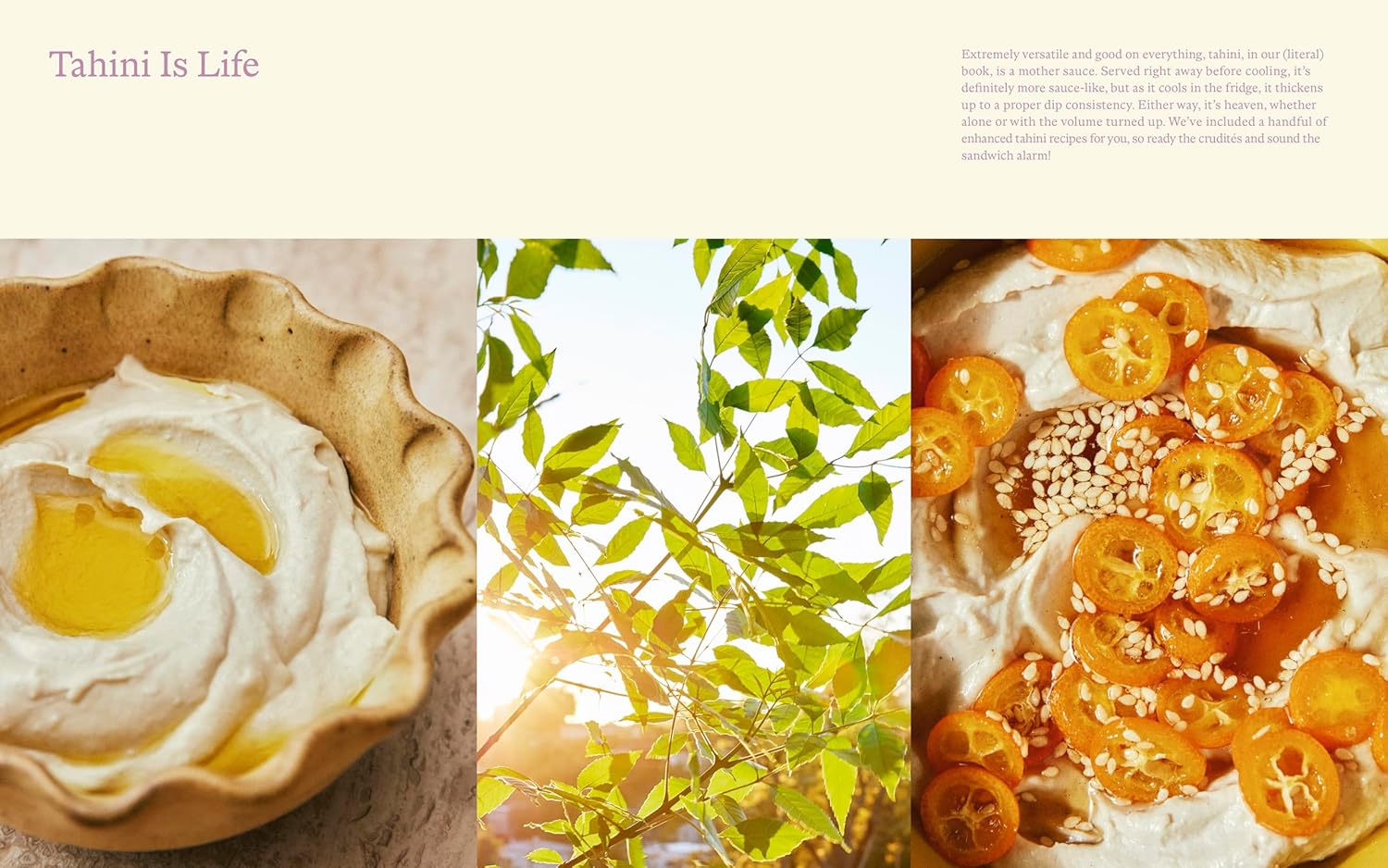 Kismet: Bright, Fresh, Vegetable-Loving Recipes | Cookbook