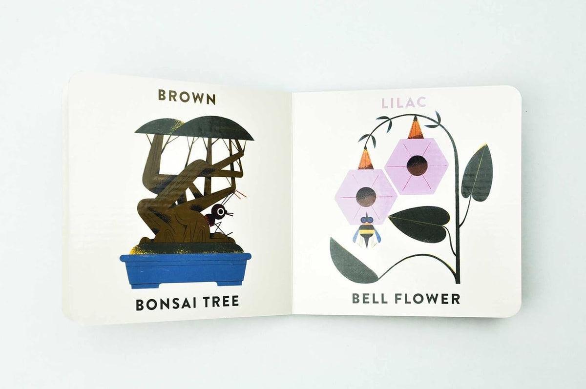 Colors in the Garden | Board Book