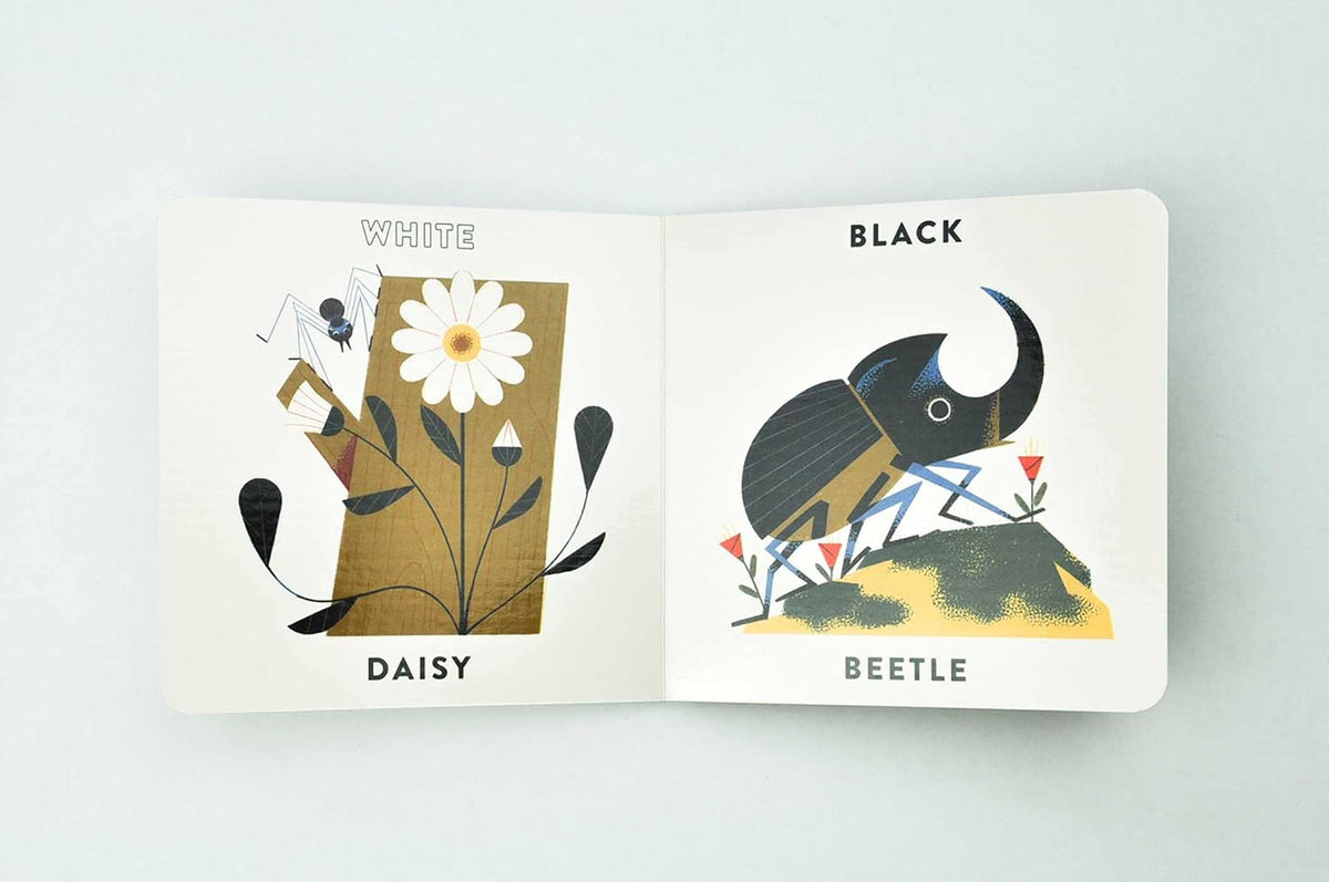 Colors in the Garden | Board Book