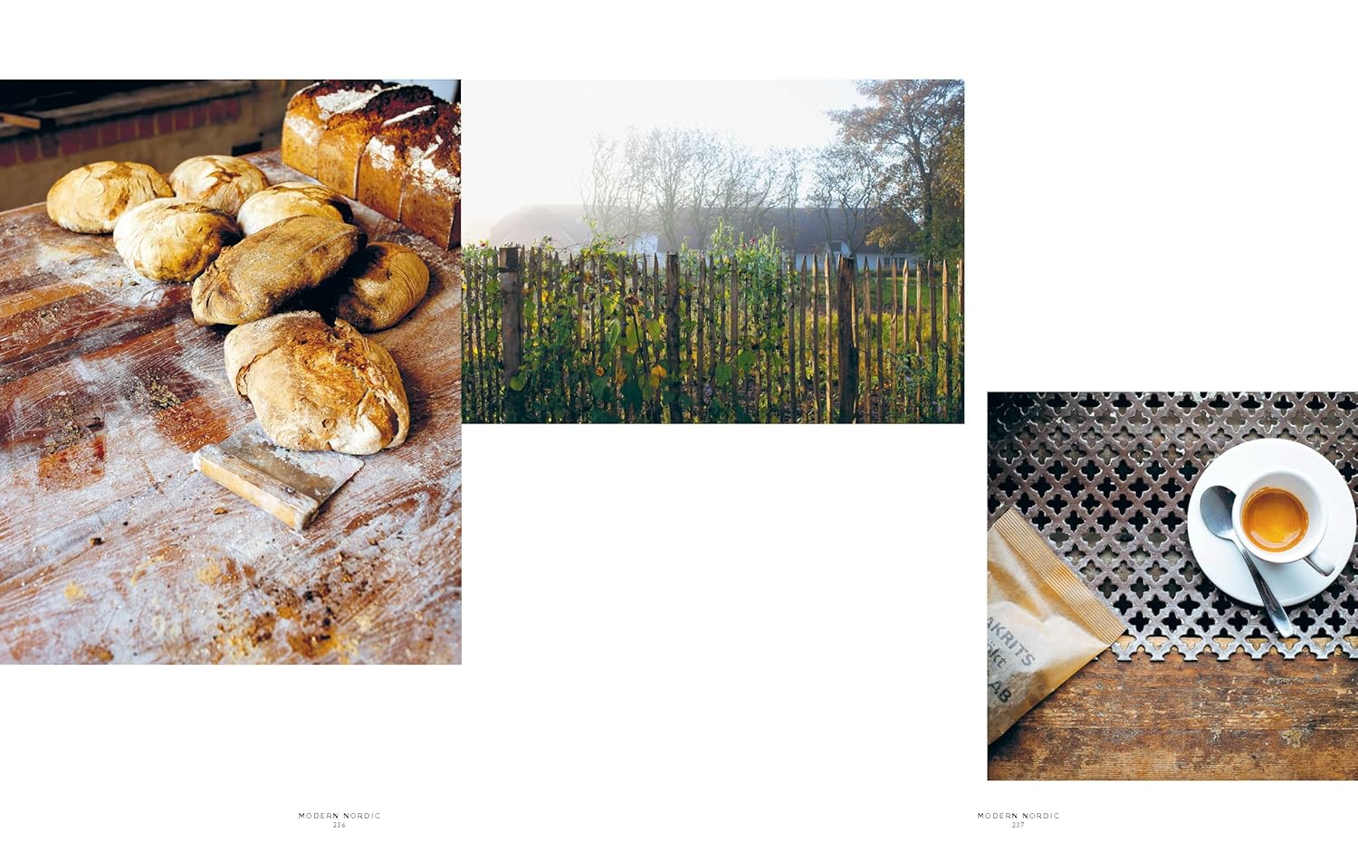 Modern Nordic: Contemporary Recipes from a Scandinavian Kitchen | Cookbook