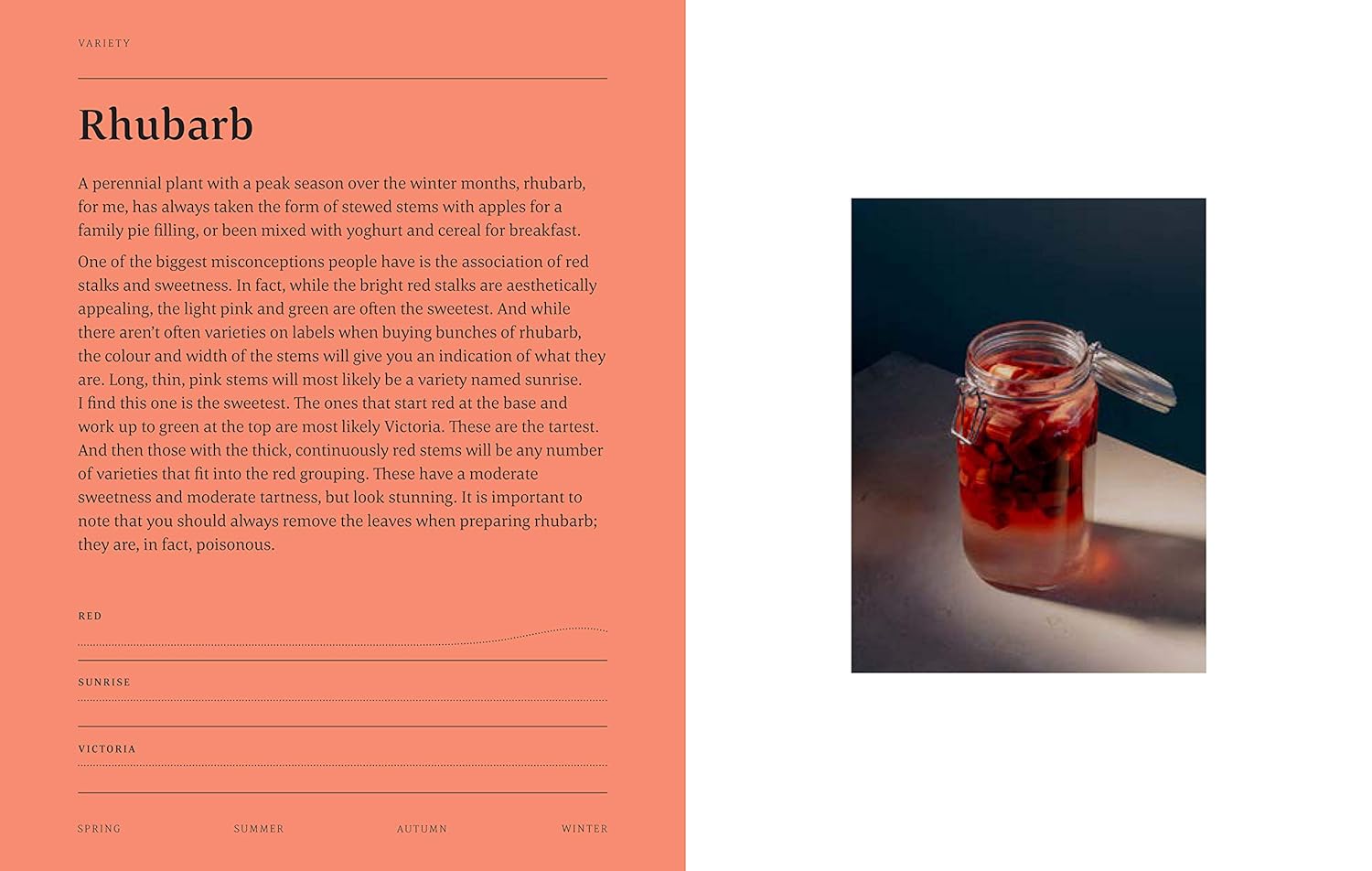 All Day Cocktails: All Day Cocktails: Low (And No) Alcohol Magic | Cookbook