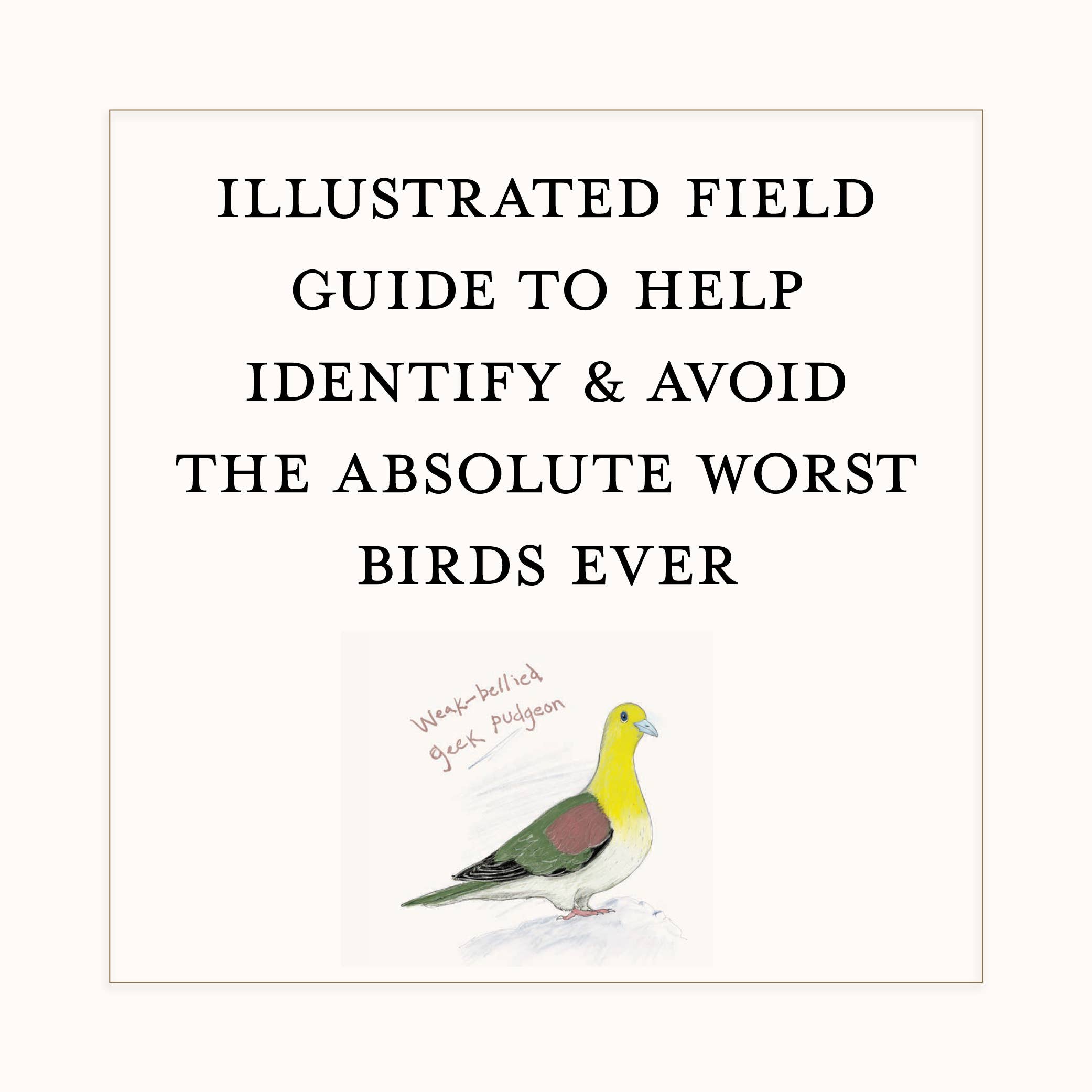 Dumb Birds Field Guide to the Worst Birds Ever