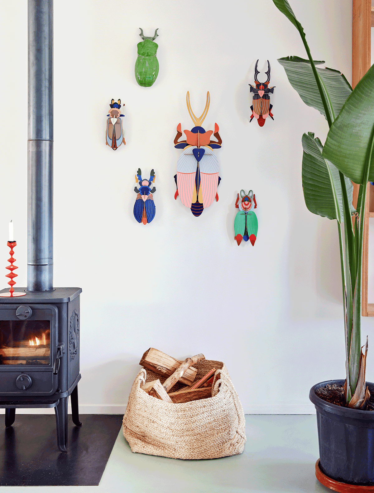 3D Wall Art | Giant Stag Beetle