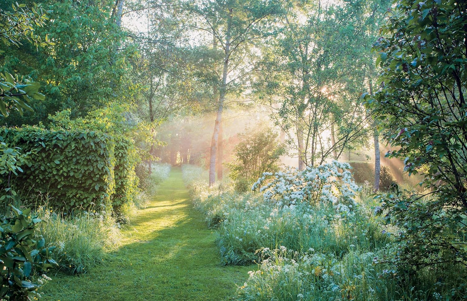 Dreamscapes : Inspiration and Beauty in Gardens Near and Far