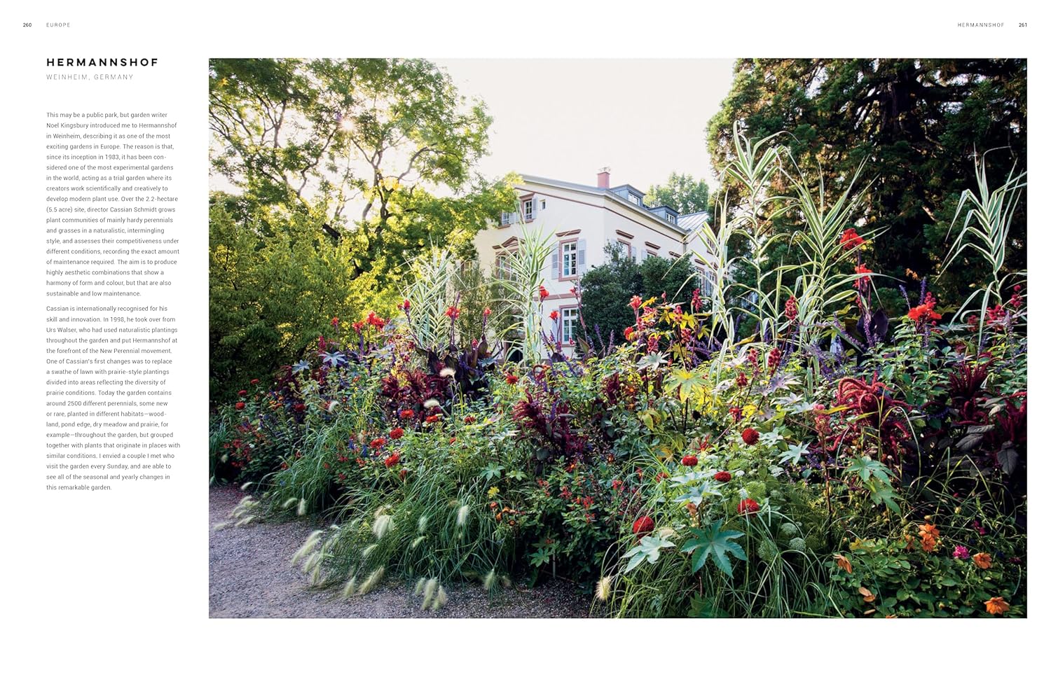 Dreamscapes : Inspiration and Beauty in Gardens Near and Far