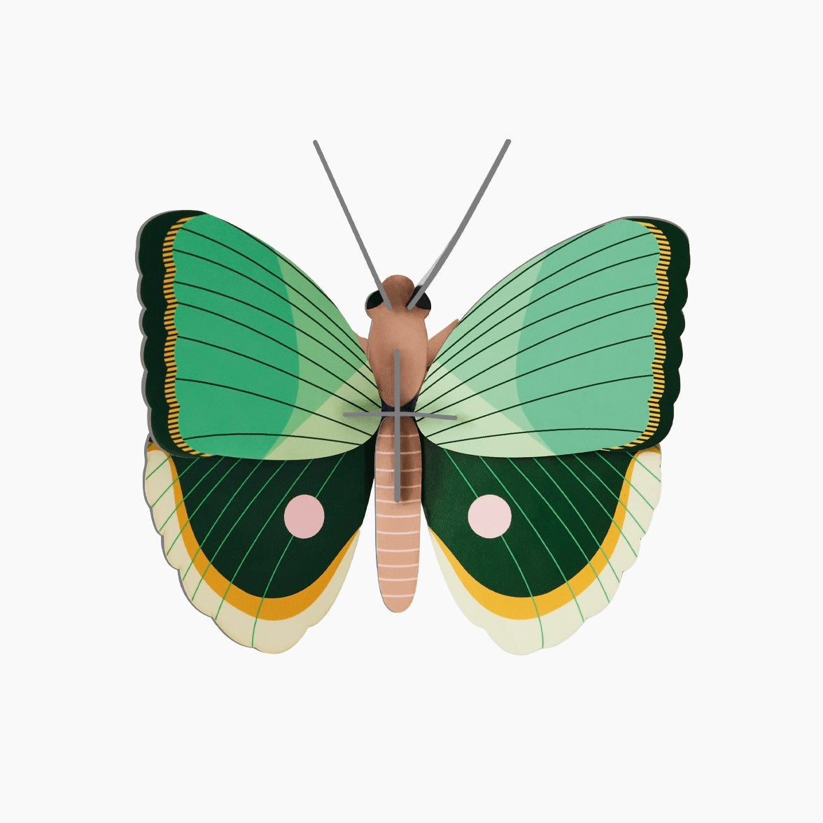 3D Wall Art | Fern Striped Butterfly