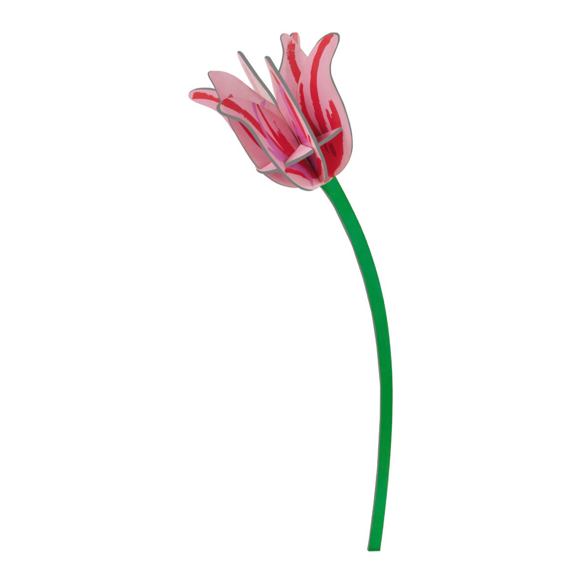 3D Flower | Pink Tulip