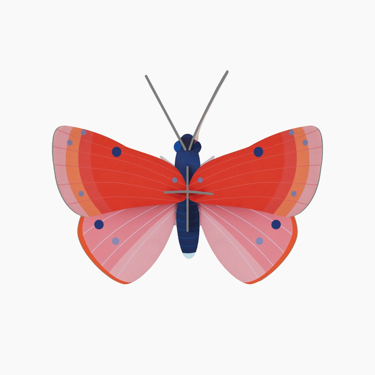 3D Wall Art | Speckled Copper Butterfly