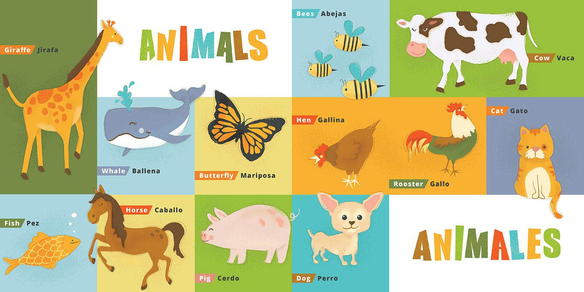 First 100 Words in English and Spanish | Board Book