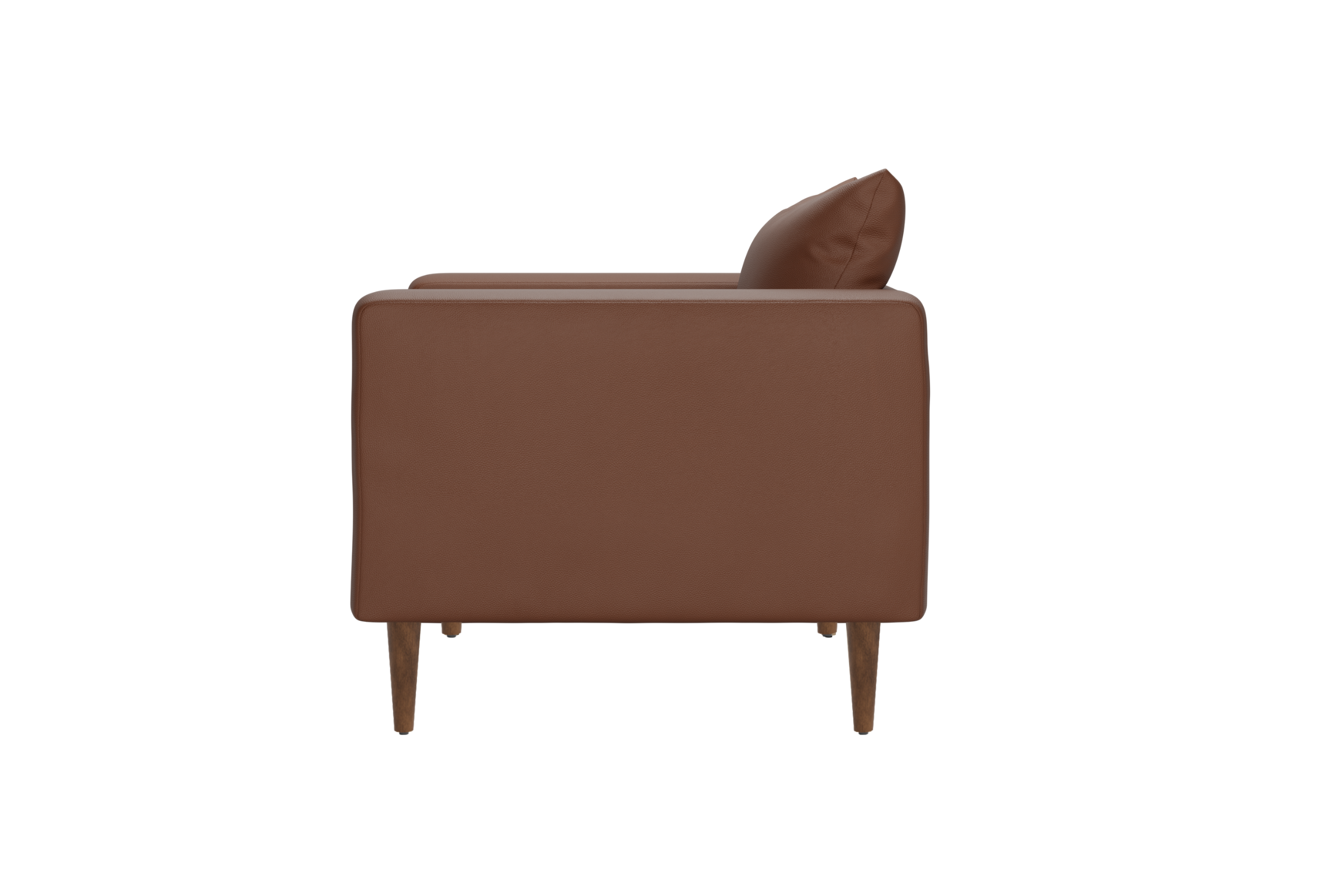 The Essential Club Chair | Cactus Leather
