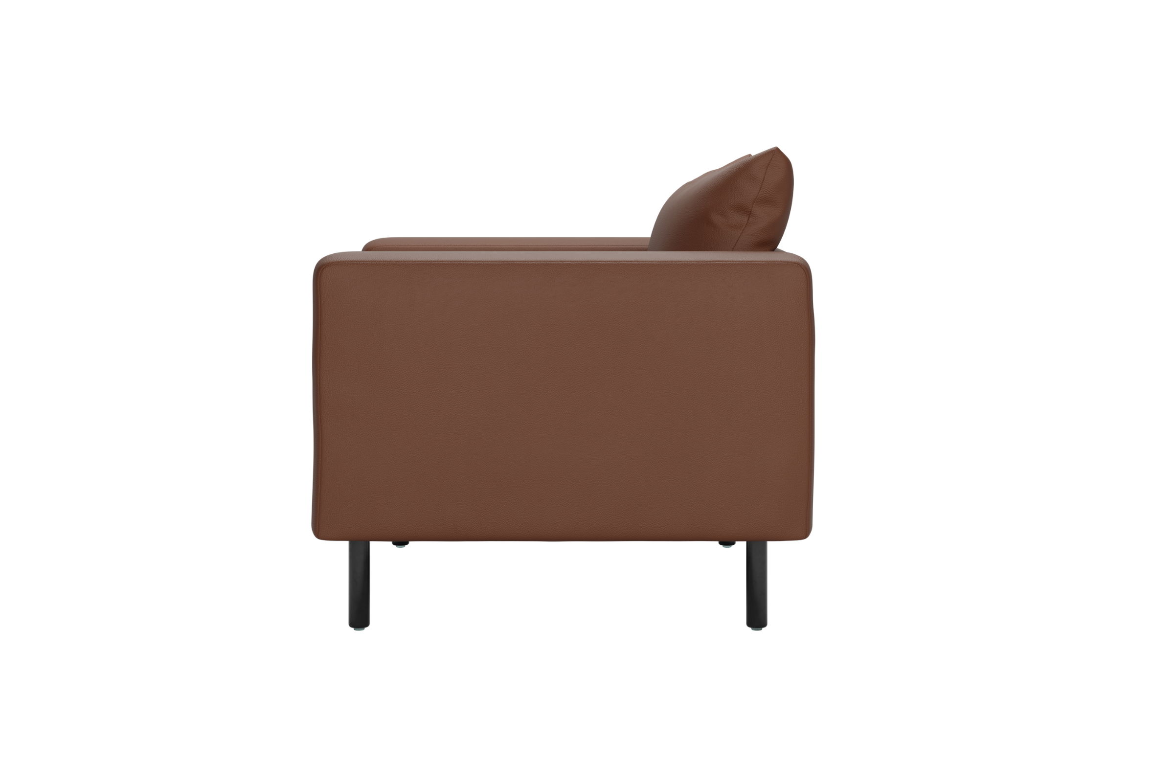 The Essential Club Chair | Cactus Leather