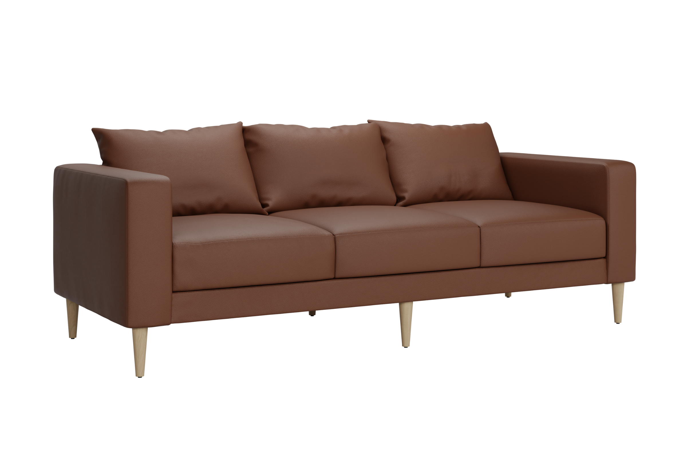 The Essential Sofa | Cactus Leather