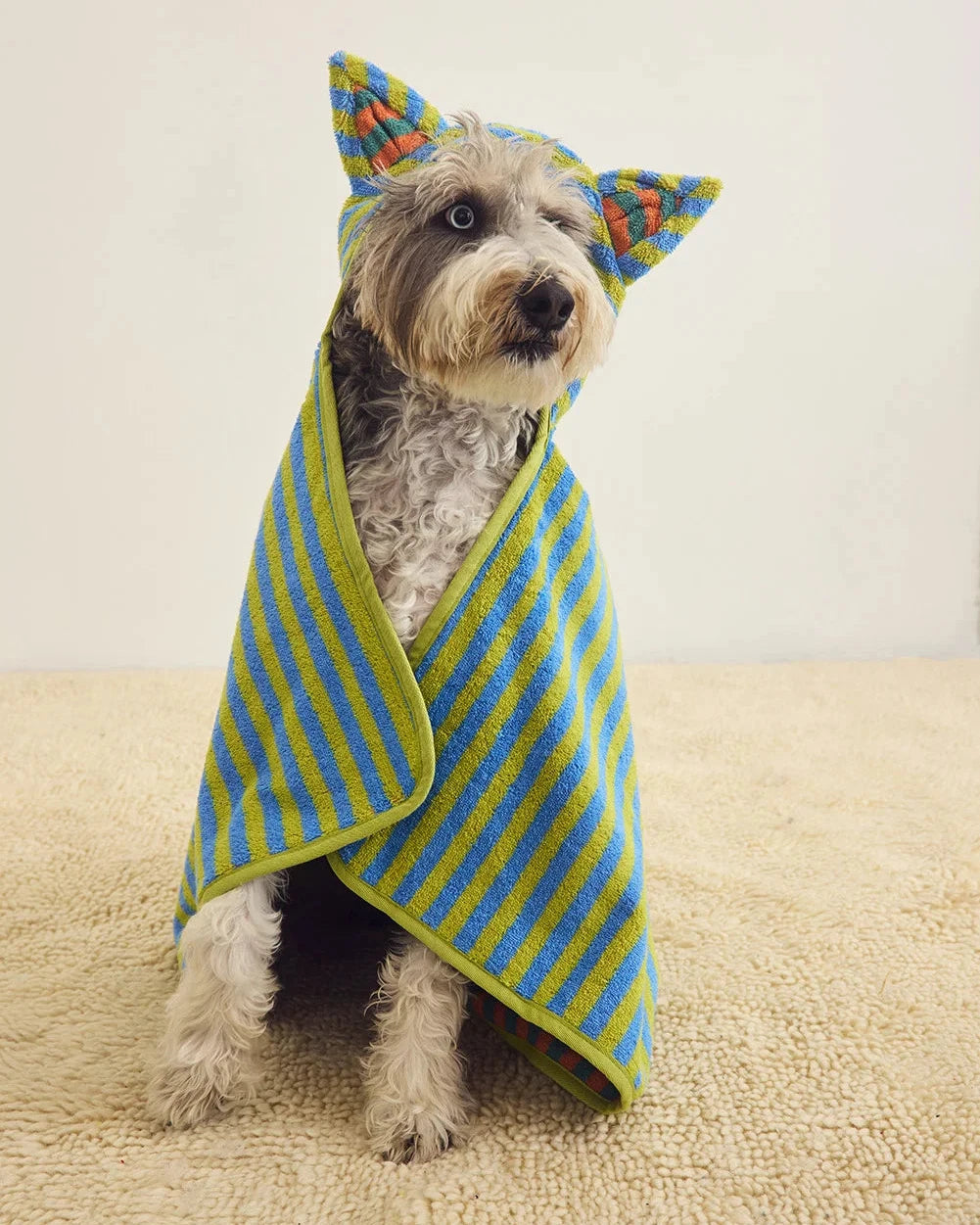 Kids' Hooded Towel | Grasshopper