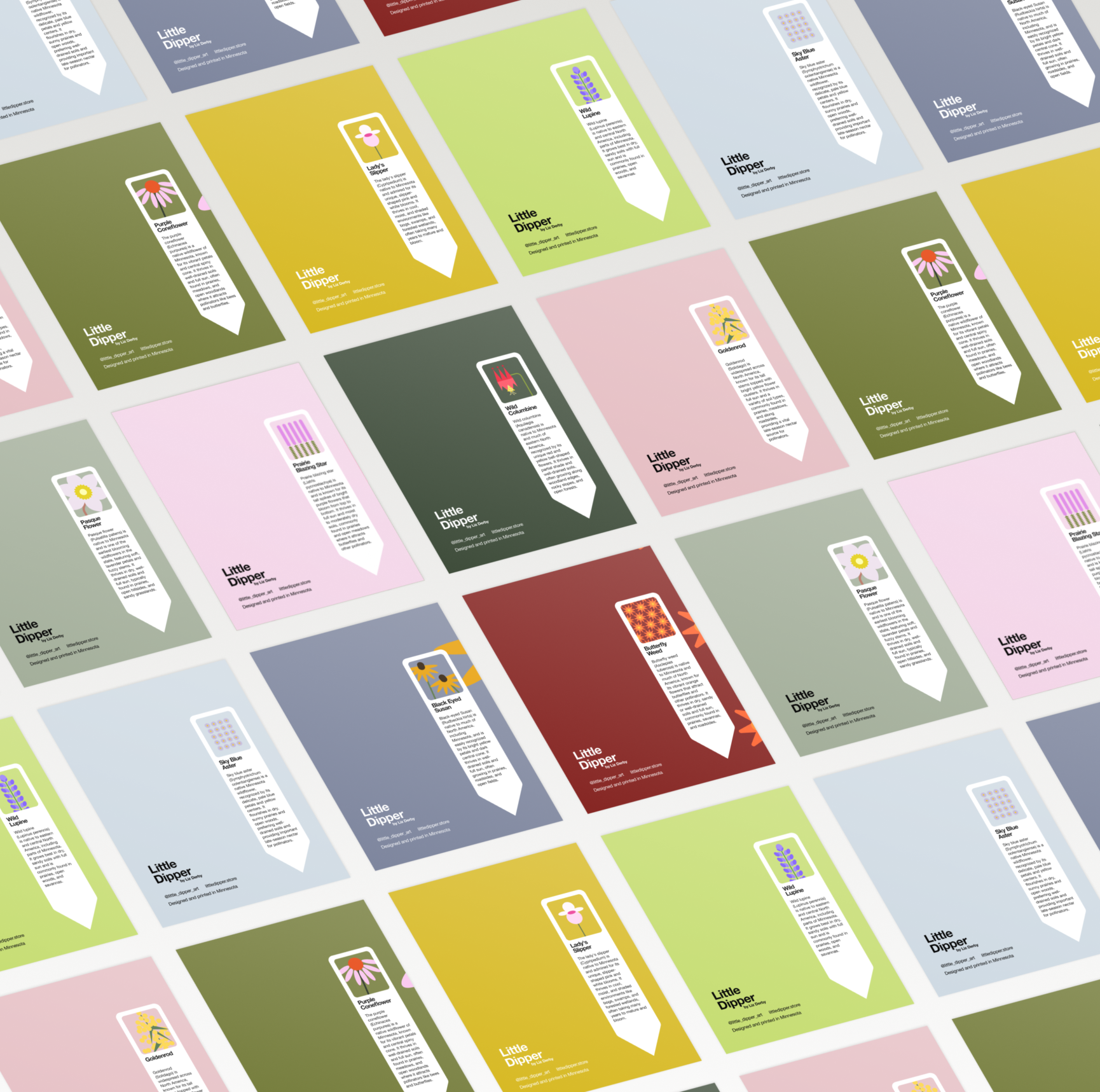 Minnesota Native Plants 10-Card Set