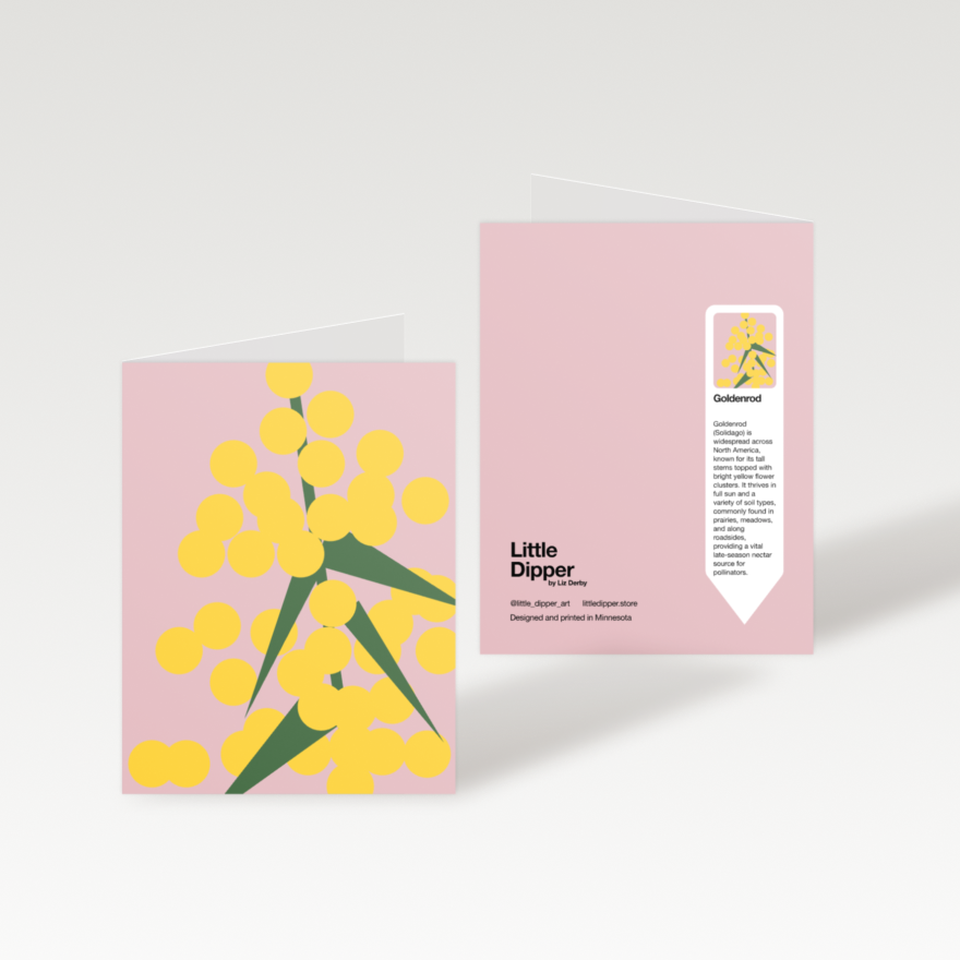 Minnesota Native Plants 10-Card Set