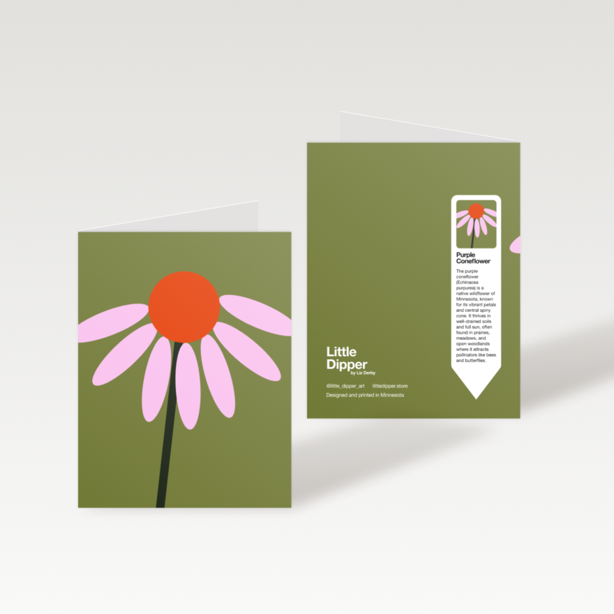 Minnesota Native Plants 10-Card Set