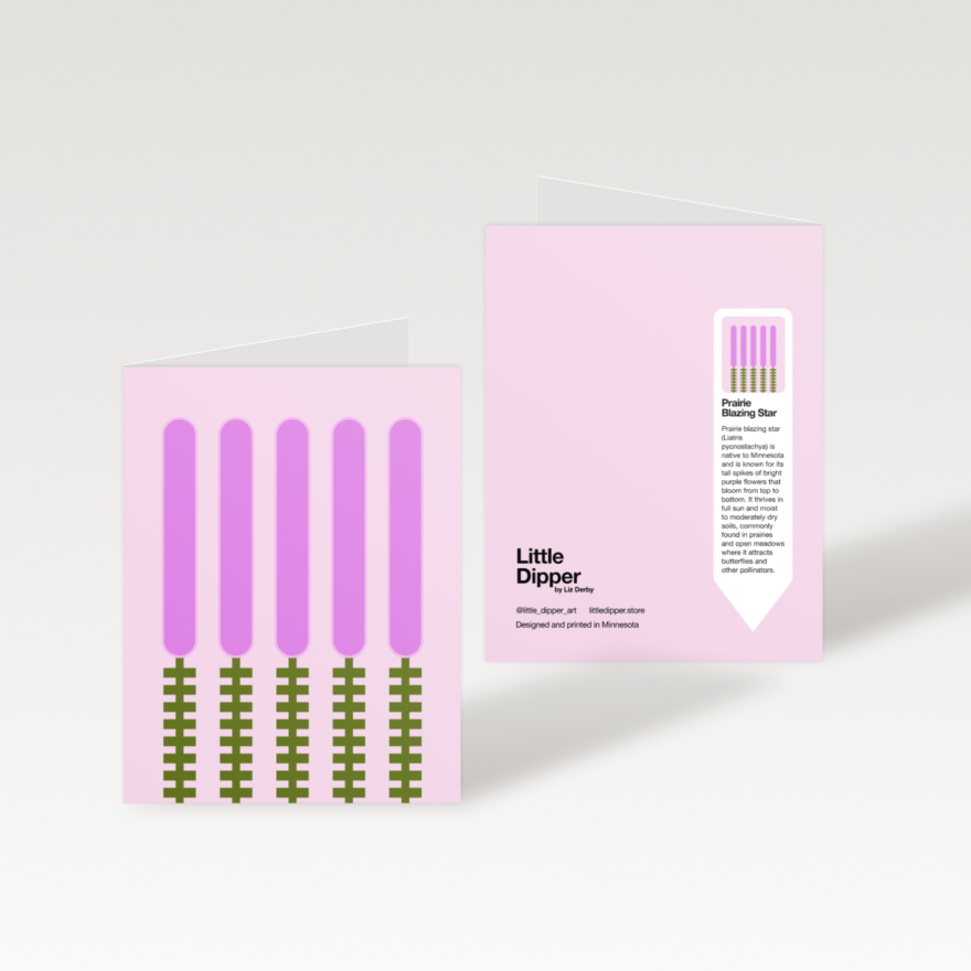 Minnesota Native Plants 10-Card Set