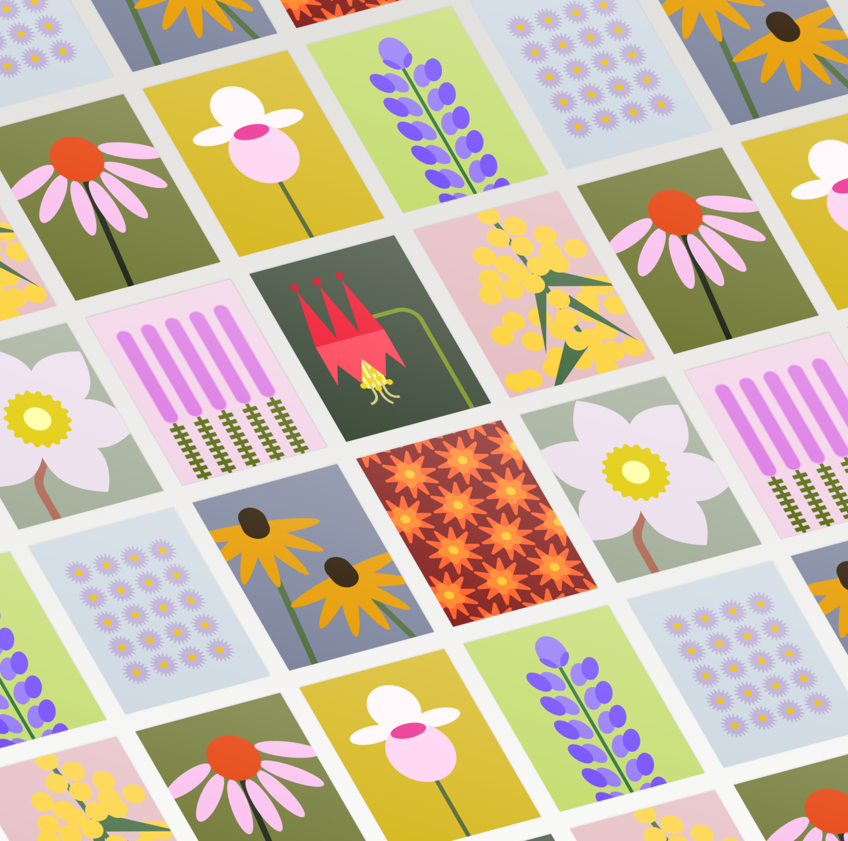 Minnesota Native Plants 10-Card Set
