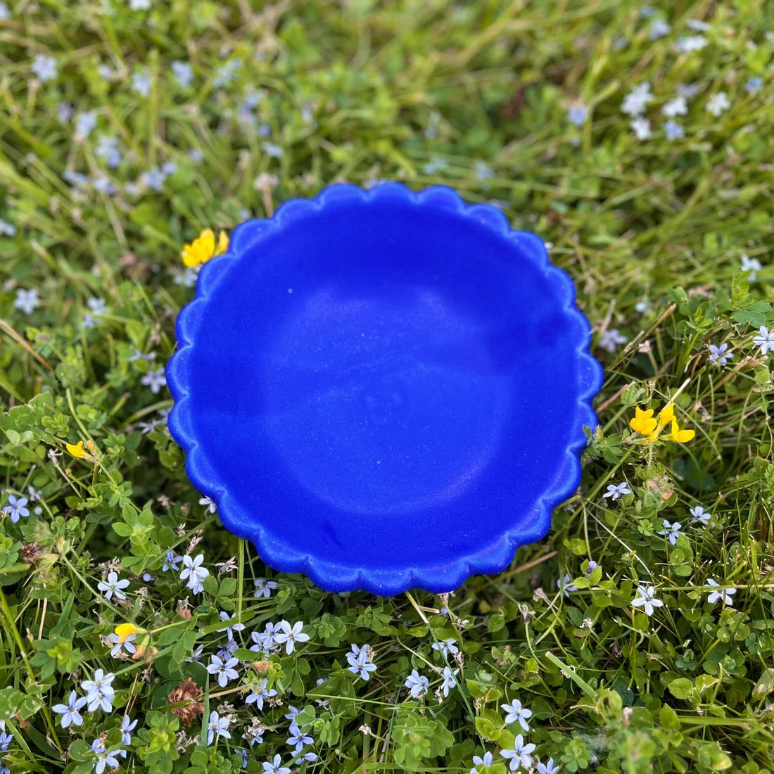 Big Snack Bowl | Pool Party