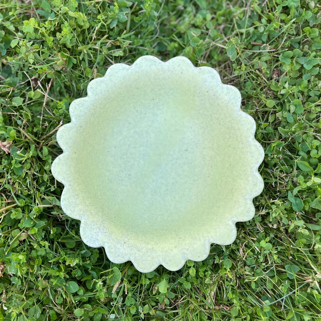 Big Snack Bowl | Zest