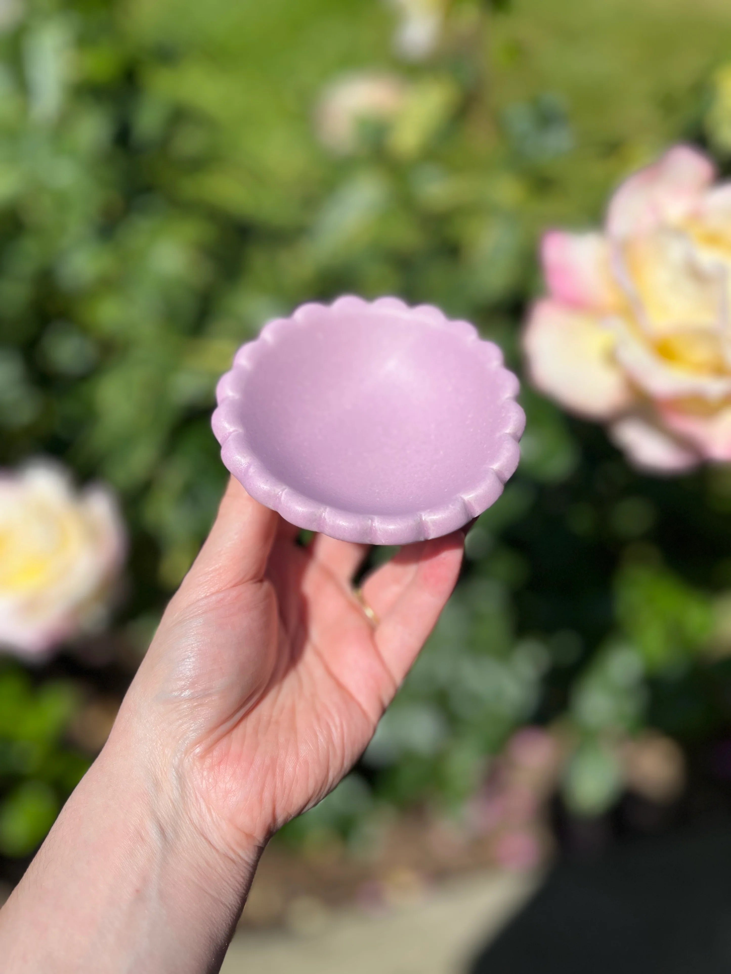 Snack Bowl | Mystery Punch