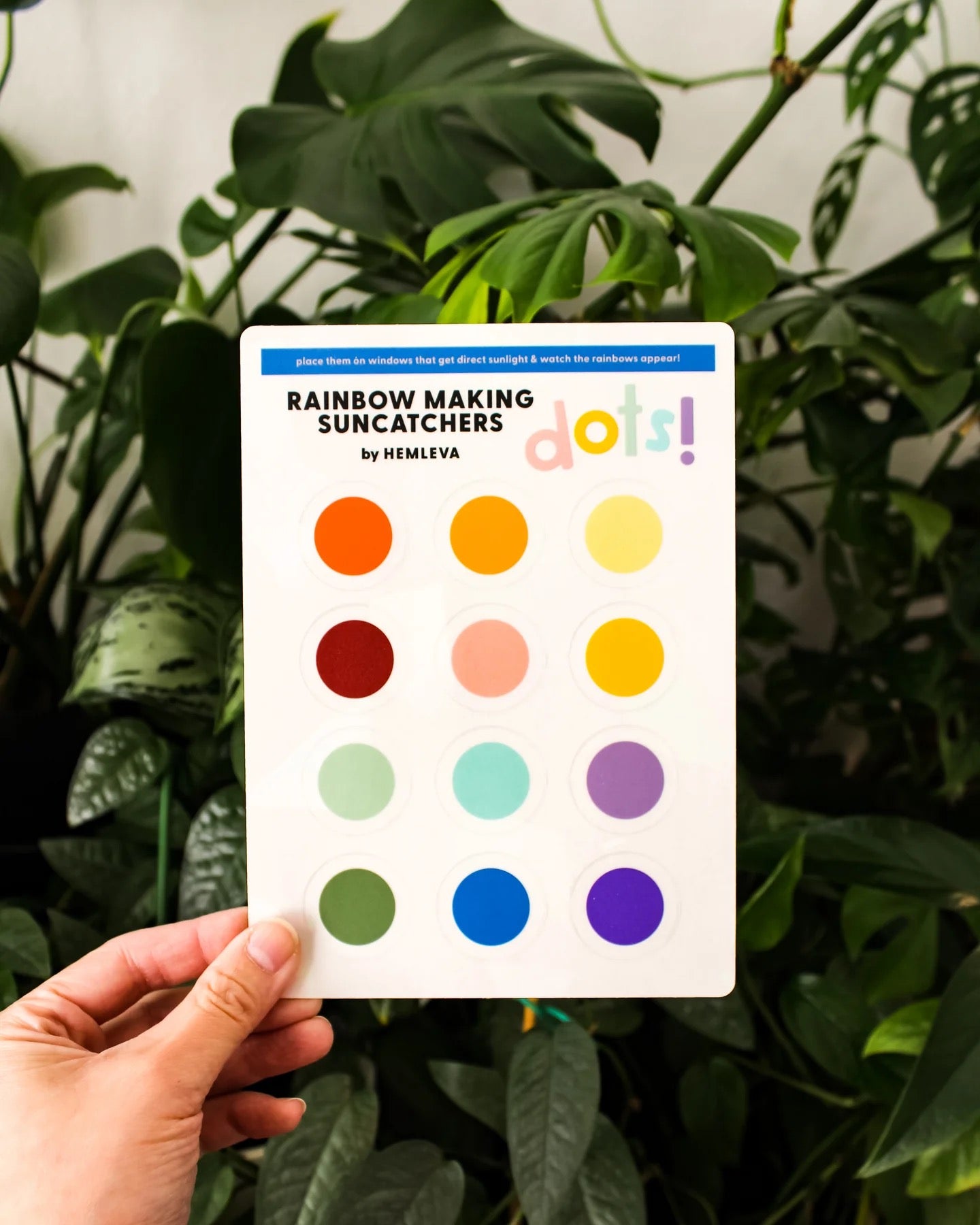 Dots Rainbow Suncatcher