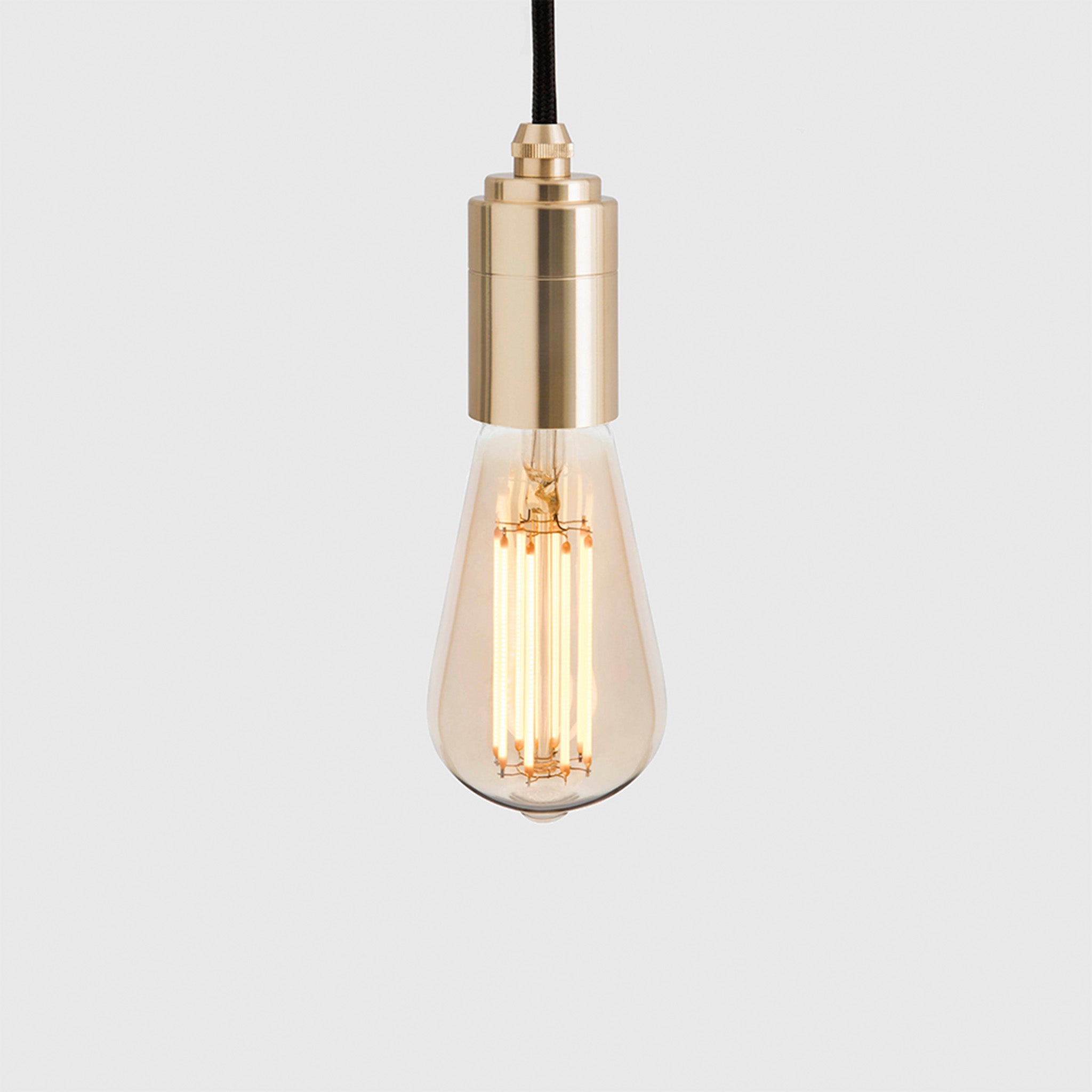 Squirrel Cage Plug-In Pendant in Brass
