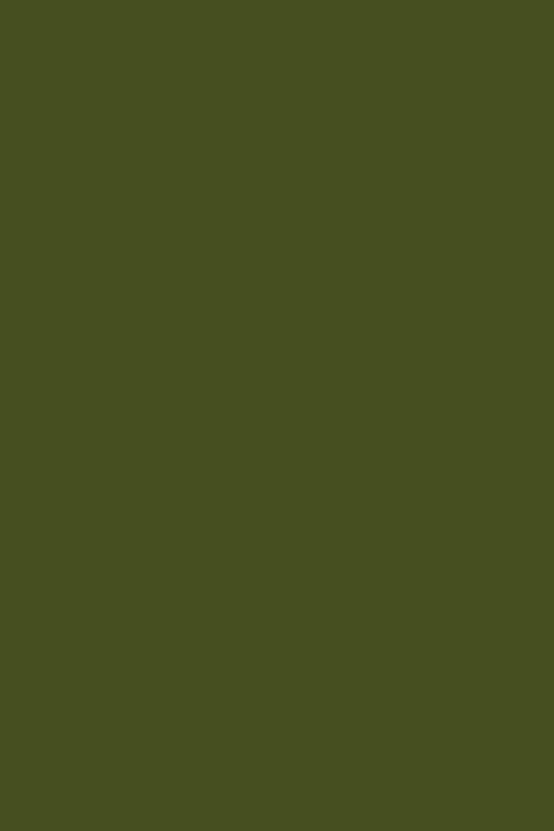 The Twinny in Olive