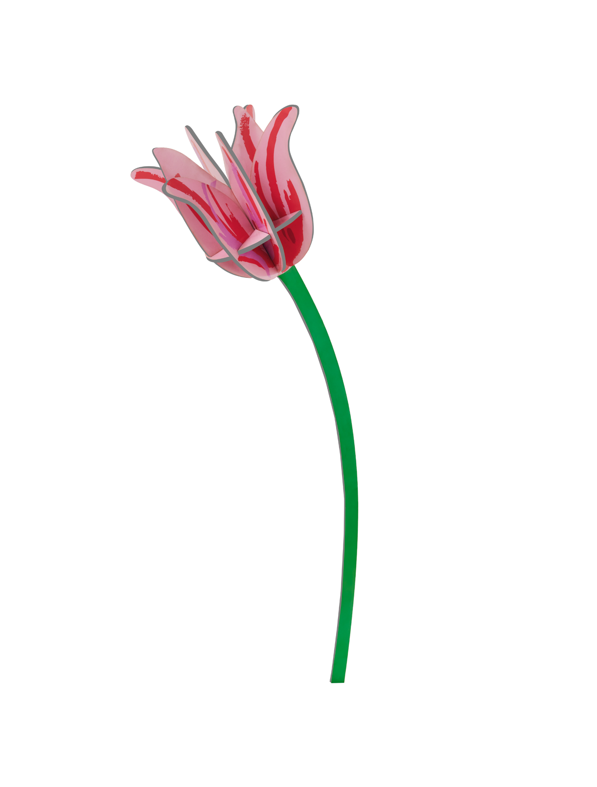 3D Flower | Pink Tulip