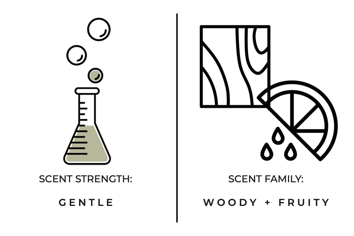 Room / Linen Spray | Stargazing