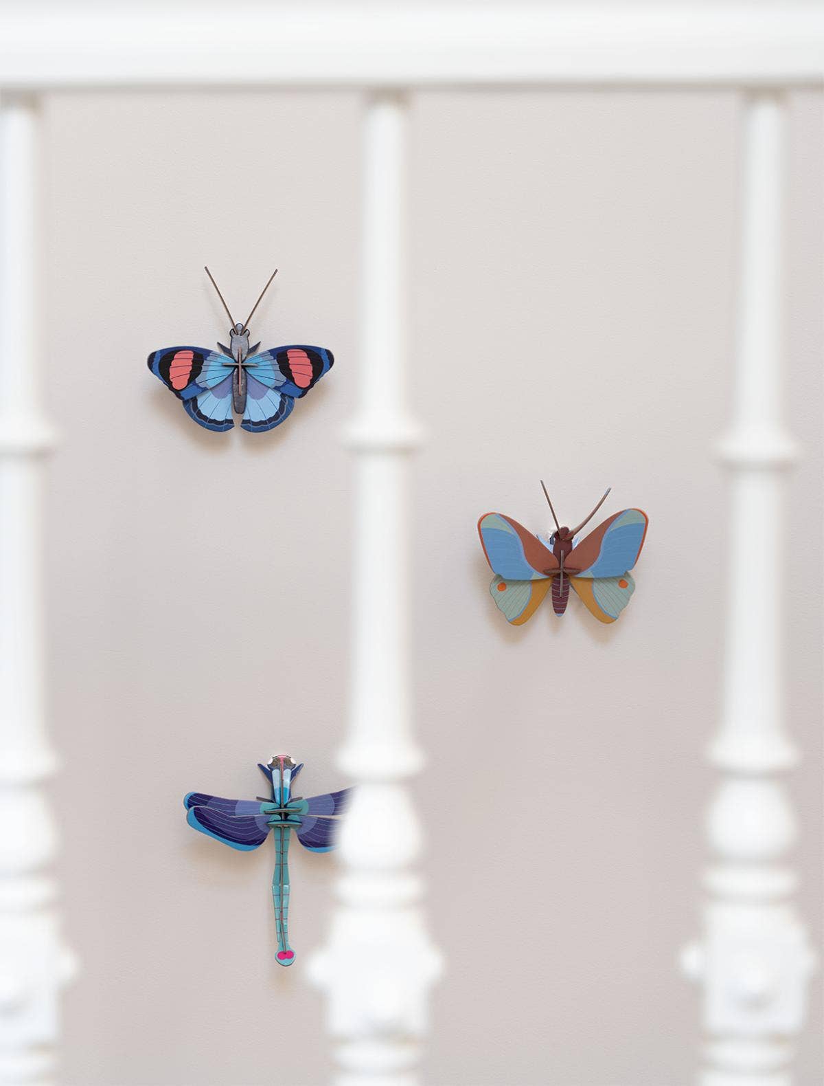3D Wall Art | Sapphire Dragonfly