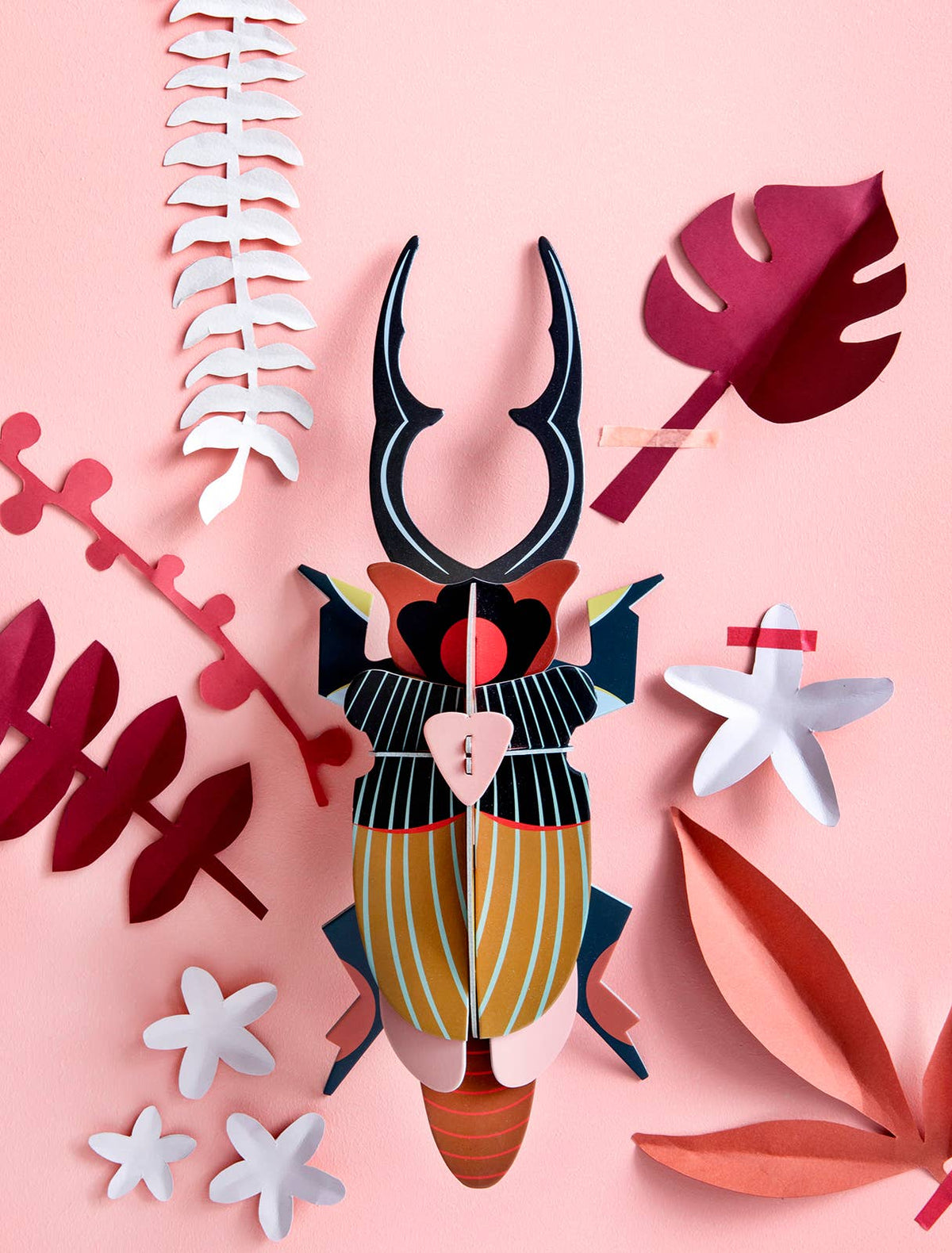 3D Wall Art | Giant Stag Beetle