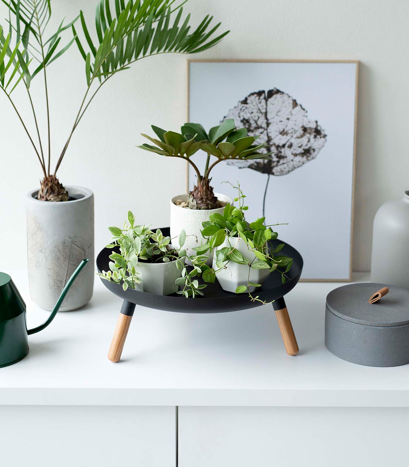 Countertop Pedestal Tray