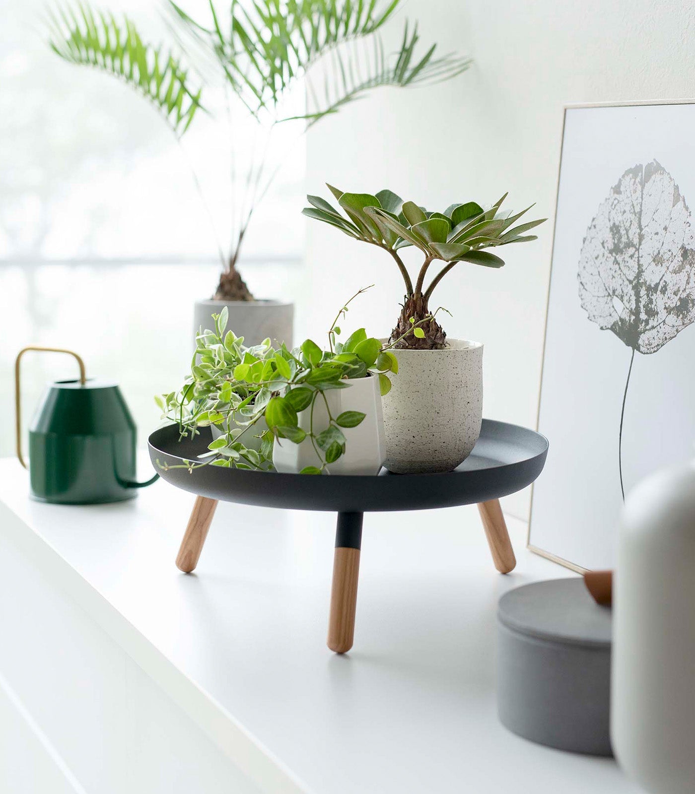 Countertop Pedestal Tray
