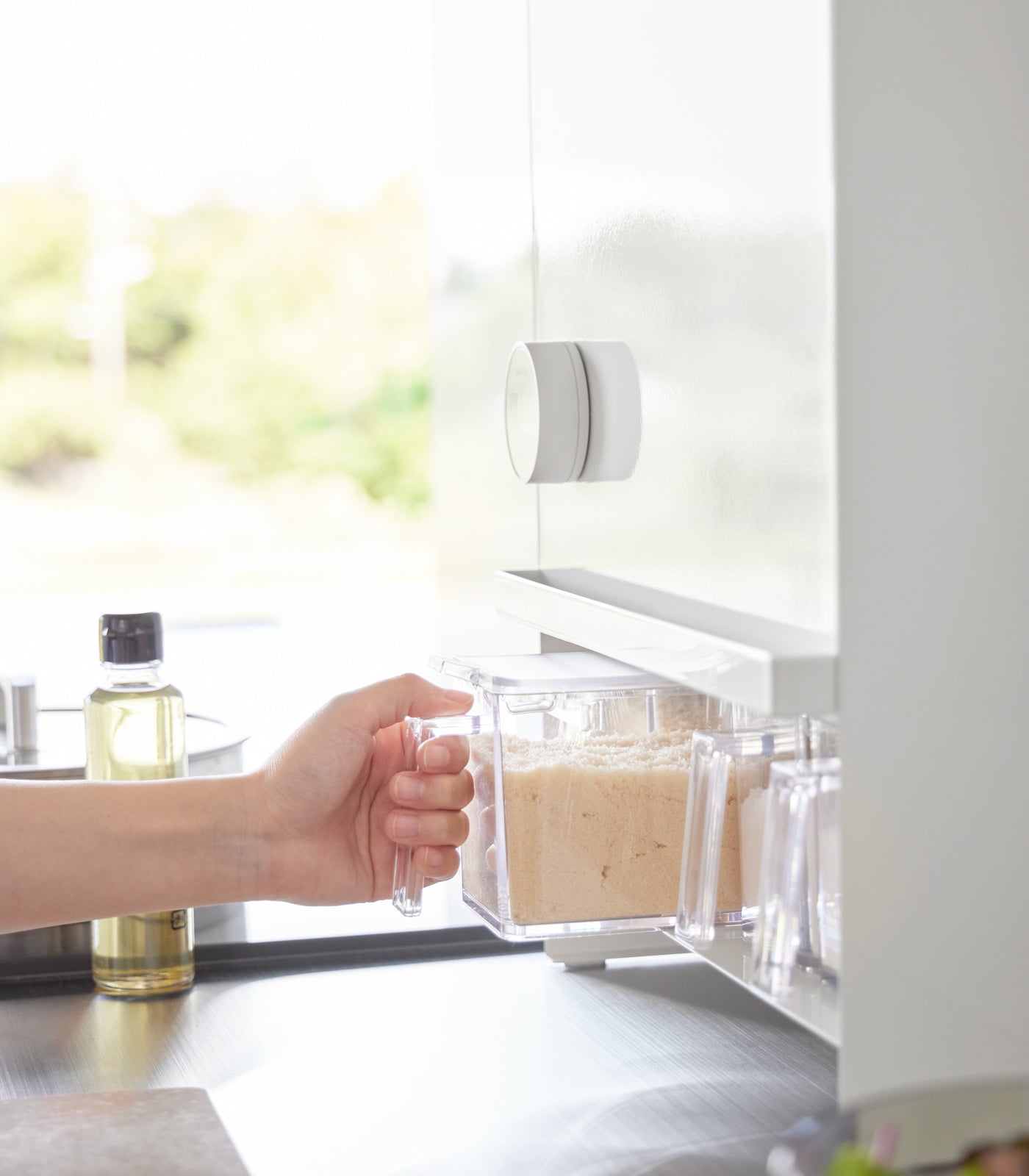 Concealable Spice Rack