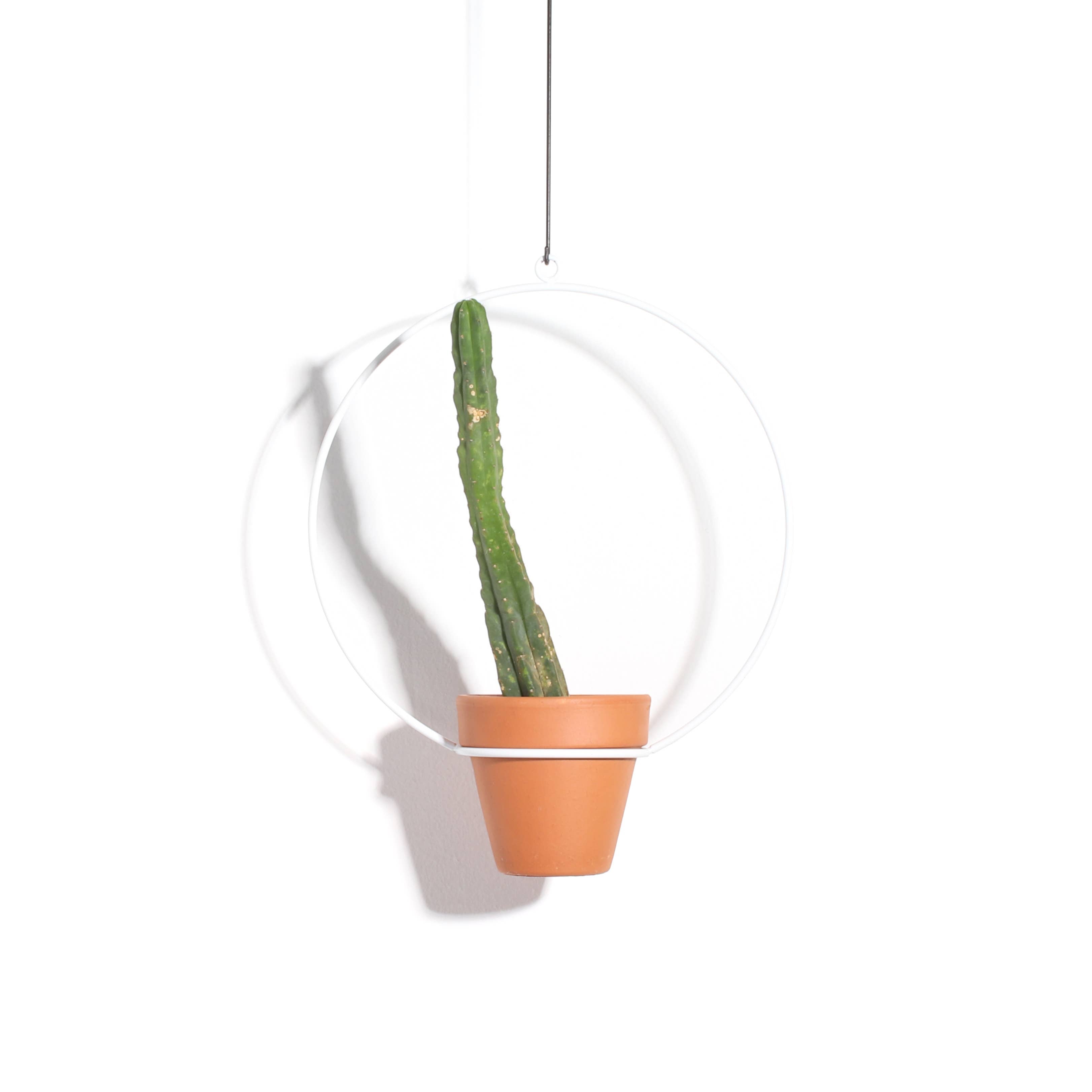 Hanging Circle Planter