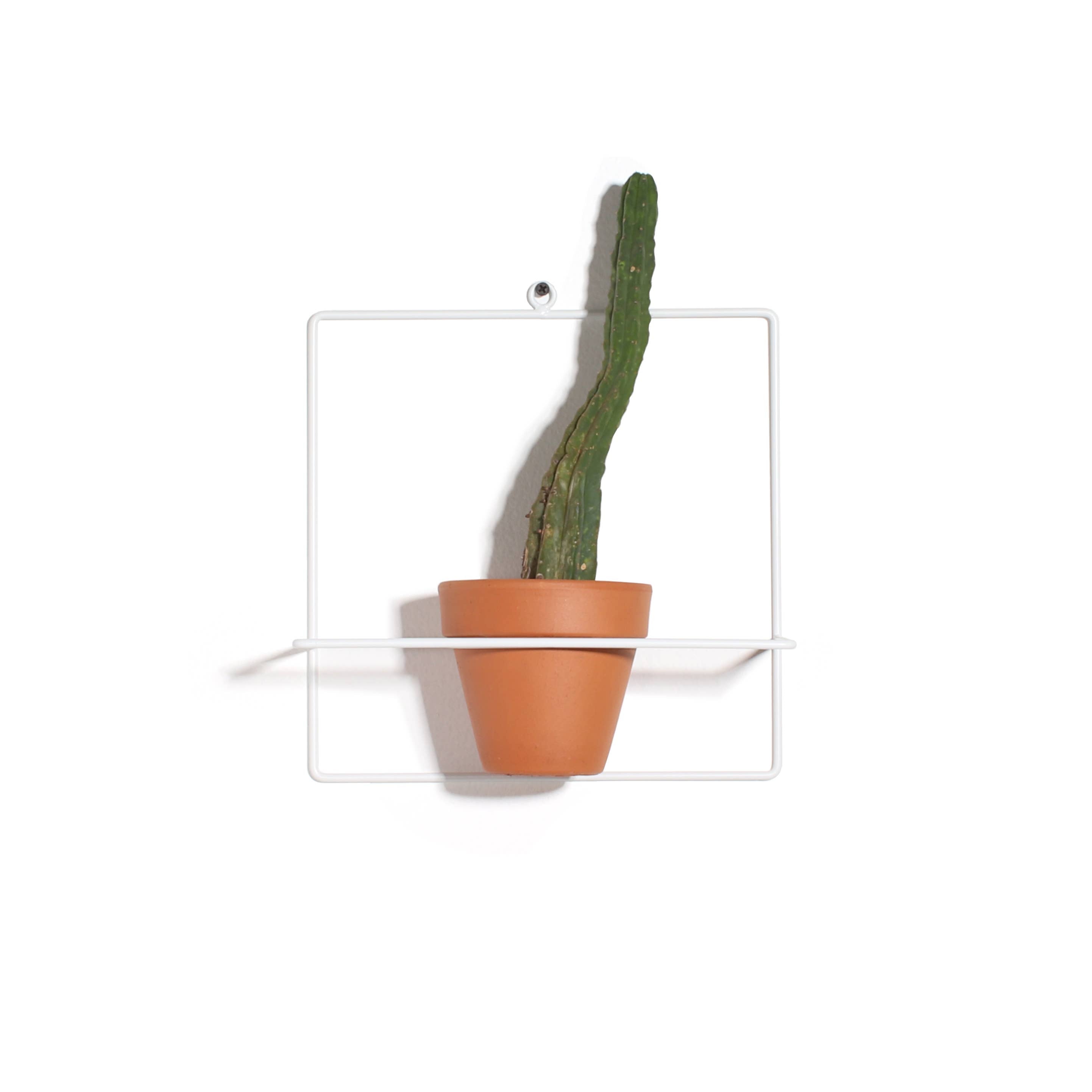 Square Wall Planter - White