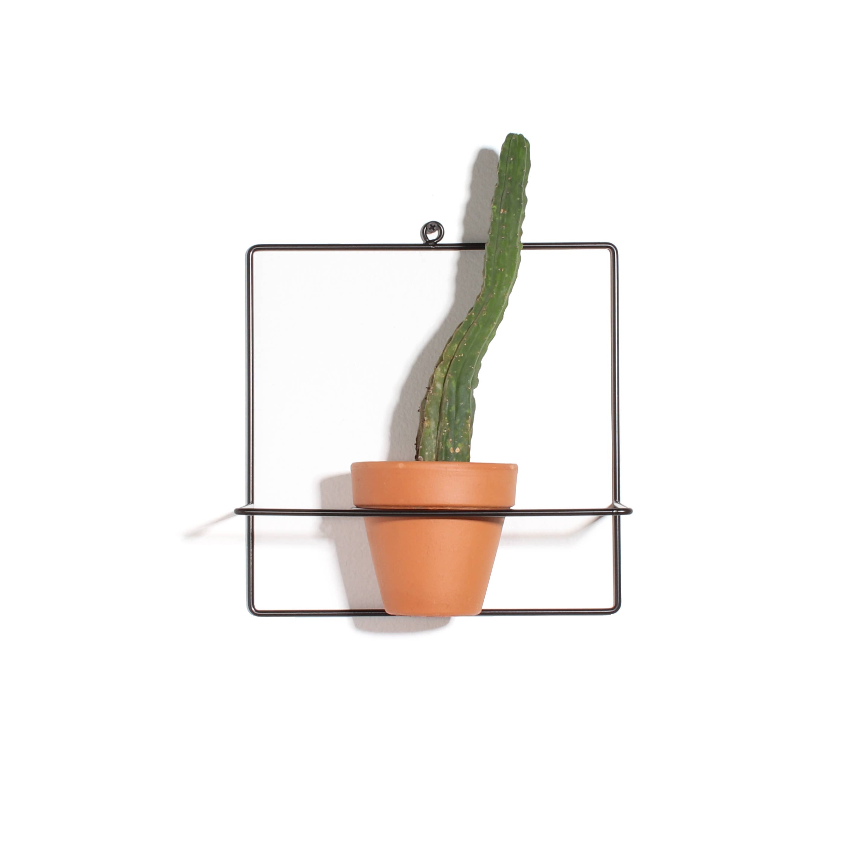 Square Wall Planter - Black