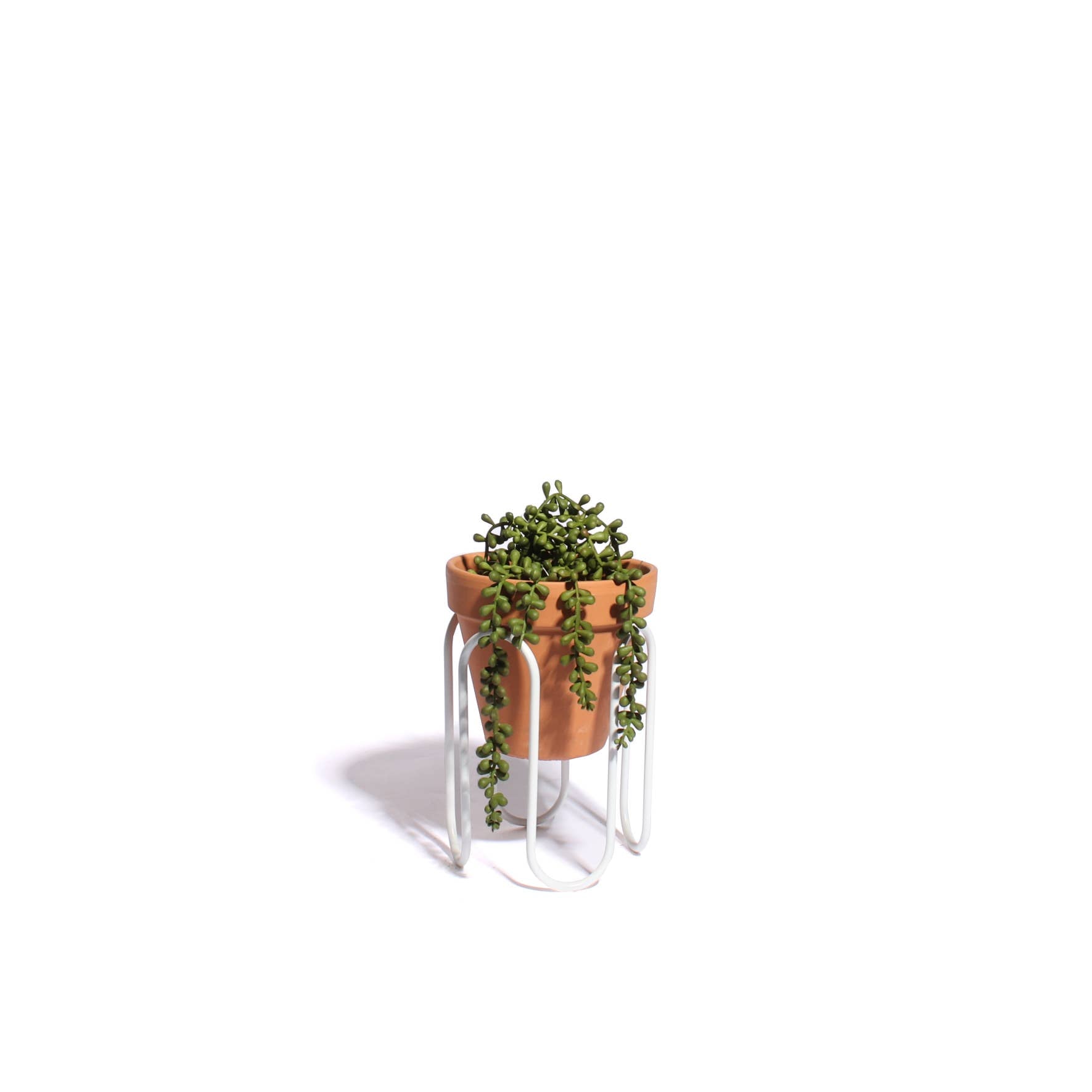 Squiggle Planter - Small - White