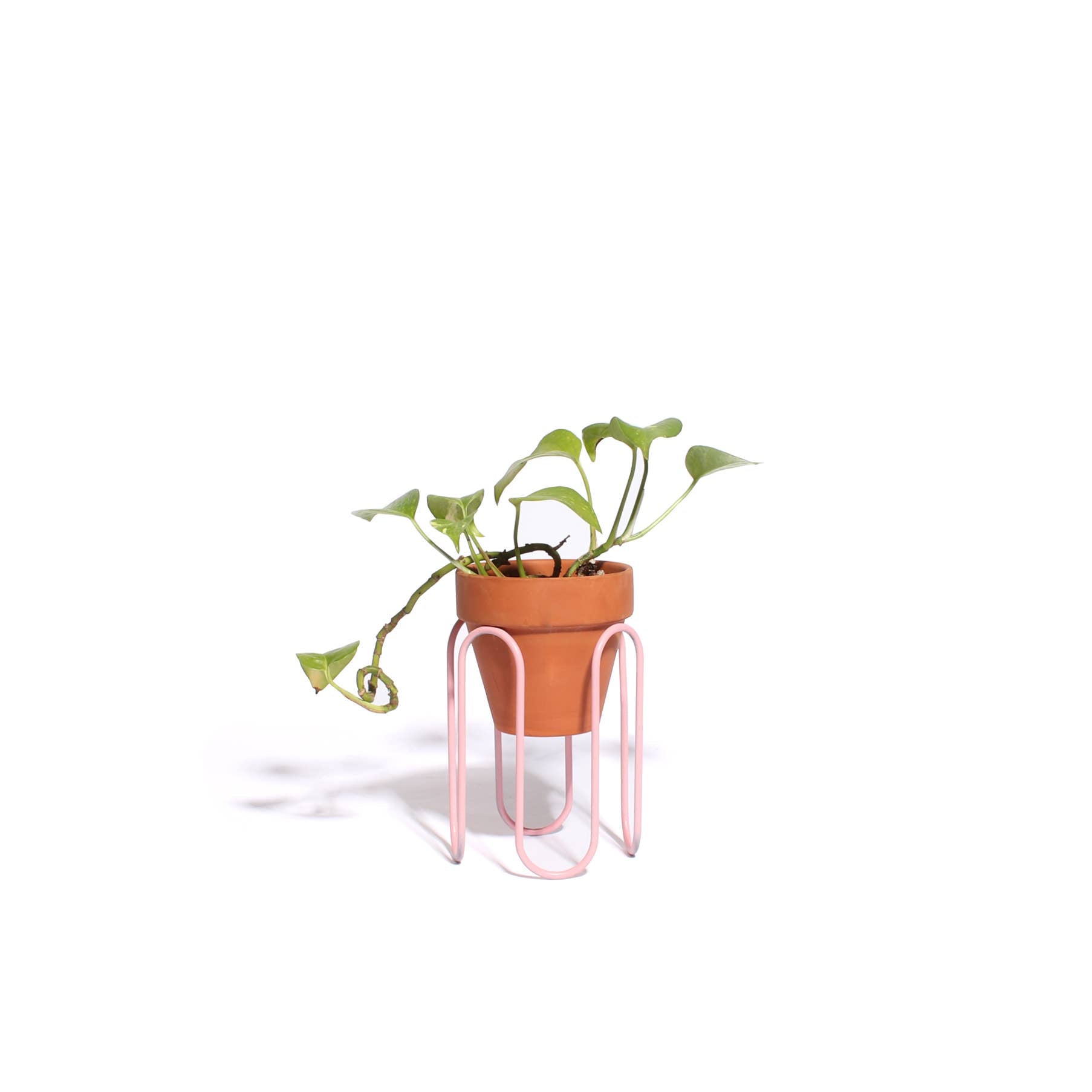 Squiggle Planter - Small - Pink