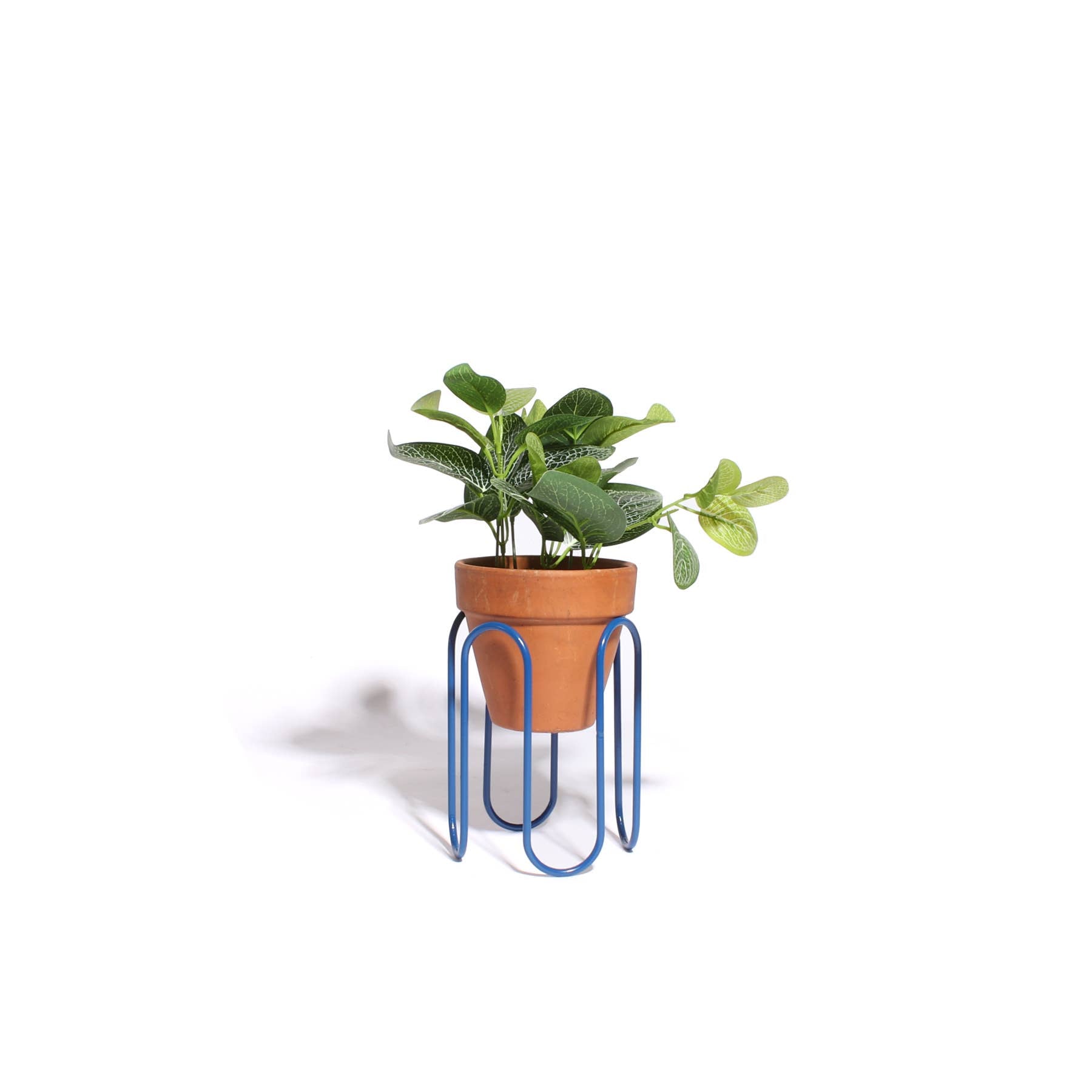 Squiggle Planter - Small - Blue