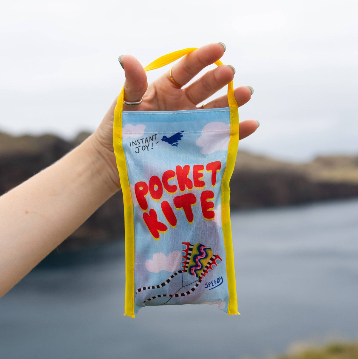 Pocket Kite