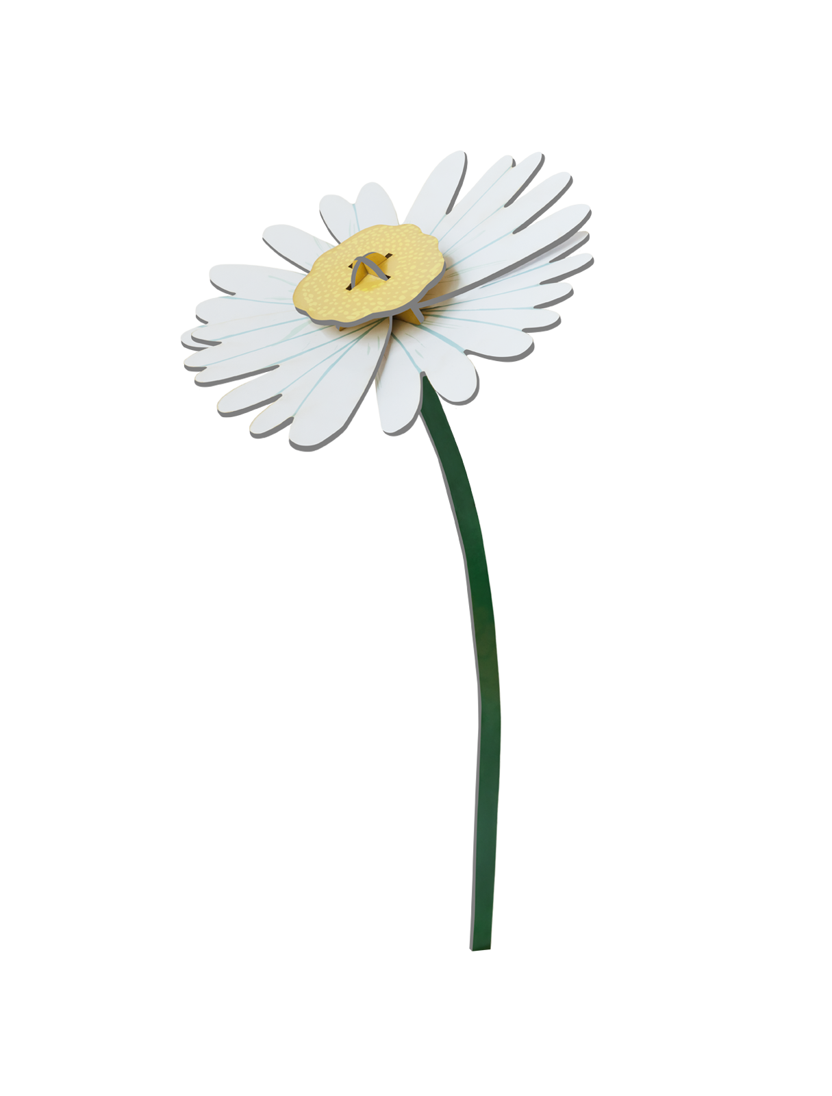 3D Flower | Daisy