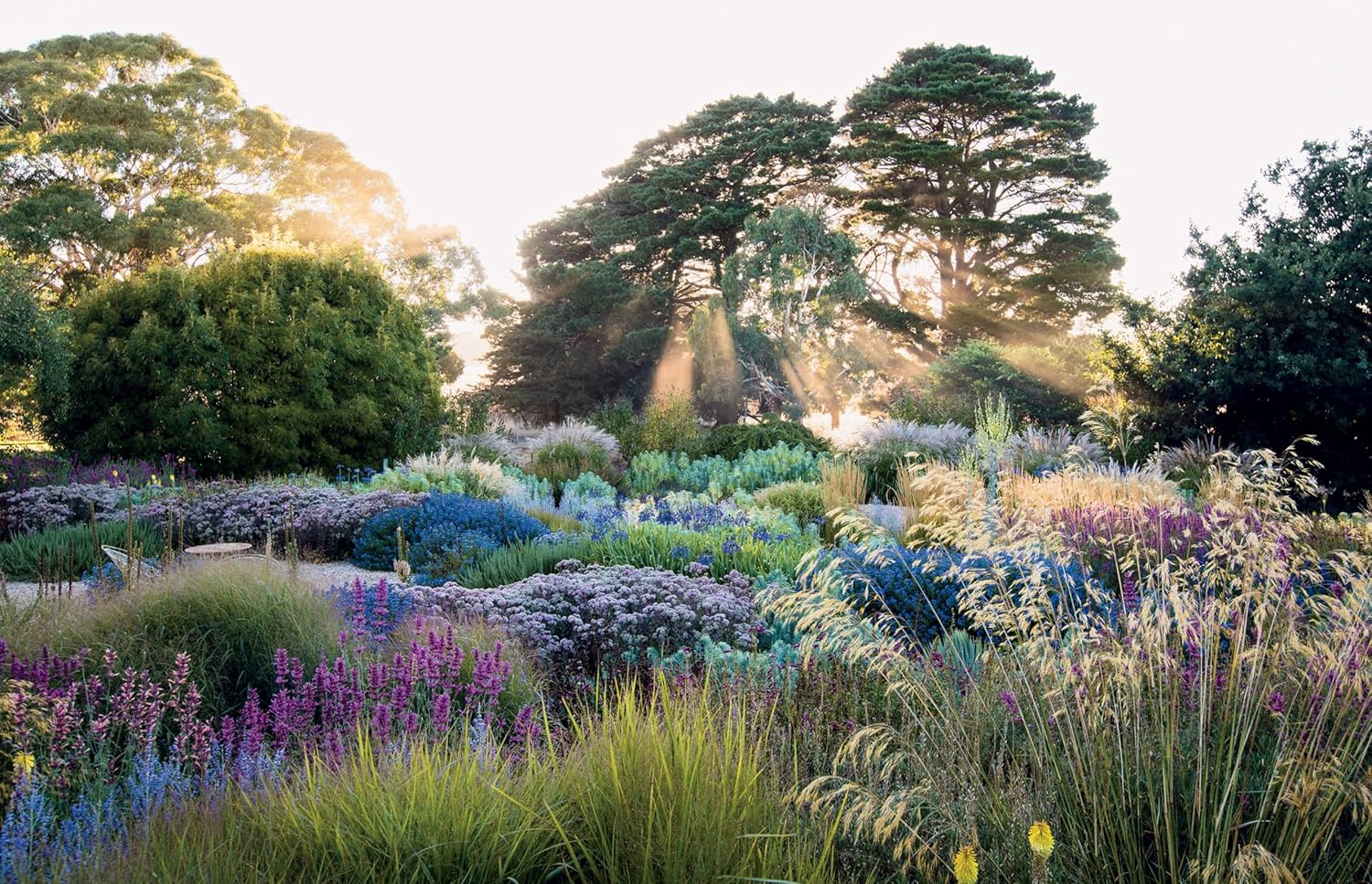 Dreamscapes : Inspiration and Beauty in Gardens Near and Far